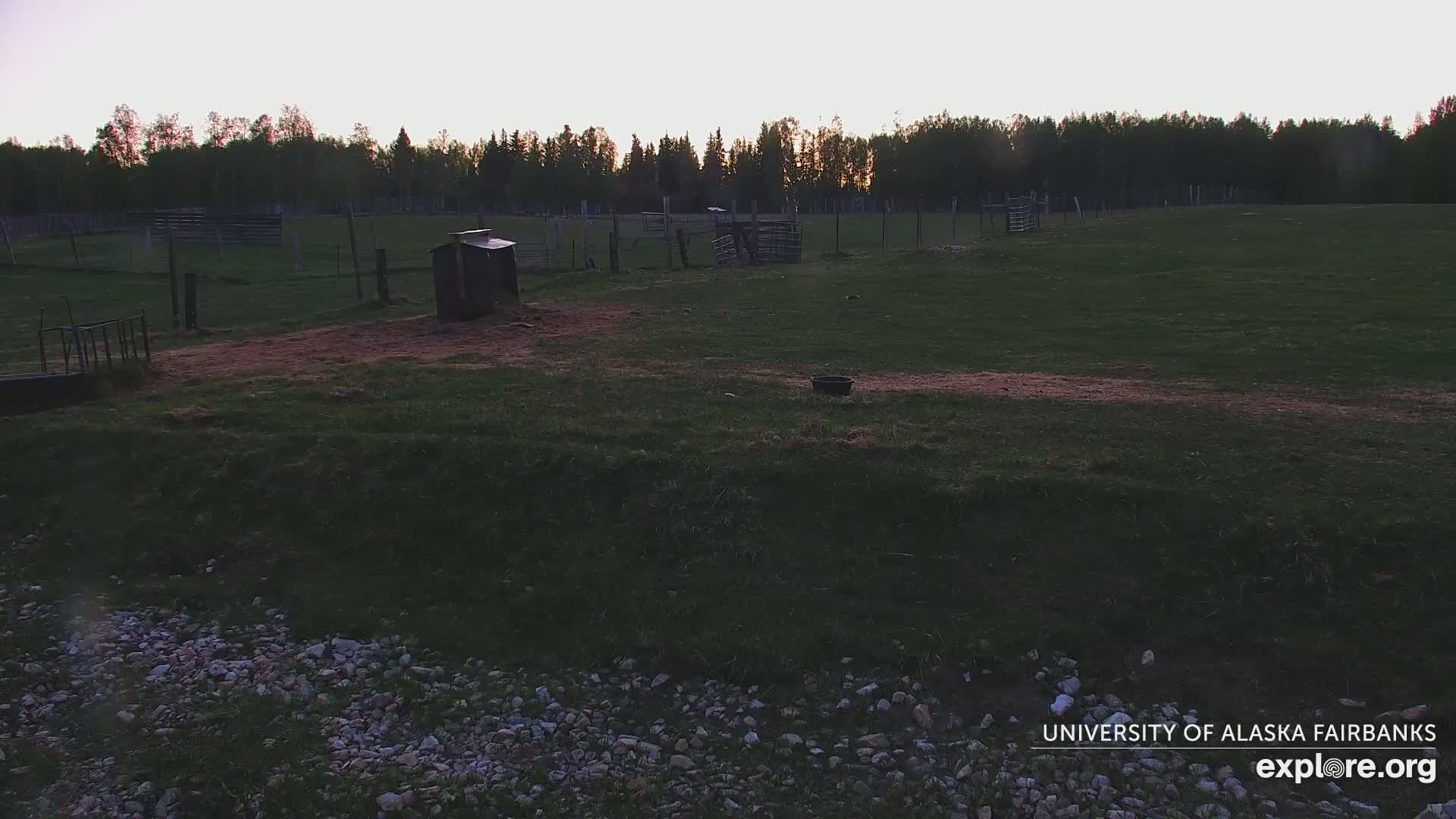 A grassy pasture at dusk, enclosed by a wooden fence and containing several small structures, is illuminated by the fading light of the setting sun.