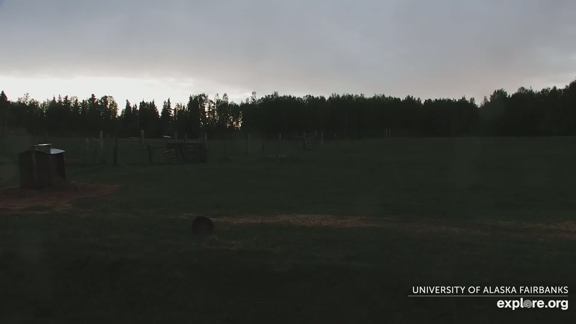 A dark, overcast sky hangs over a grassy field containing a small shed and various fenced-in enclosures, backed by a line of dark trees.