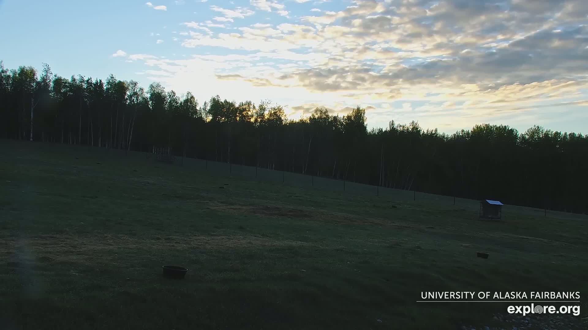 A grassy field, bordered by a dark treeline, is bathed in the soft light of a partly cloudy sunset.