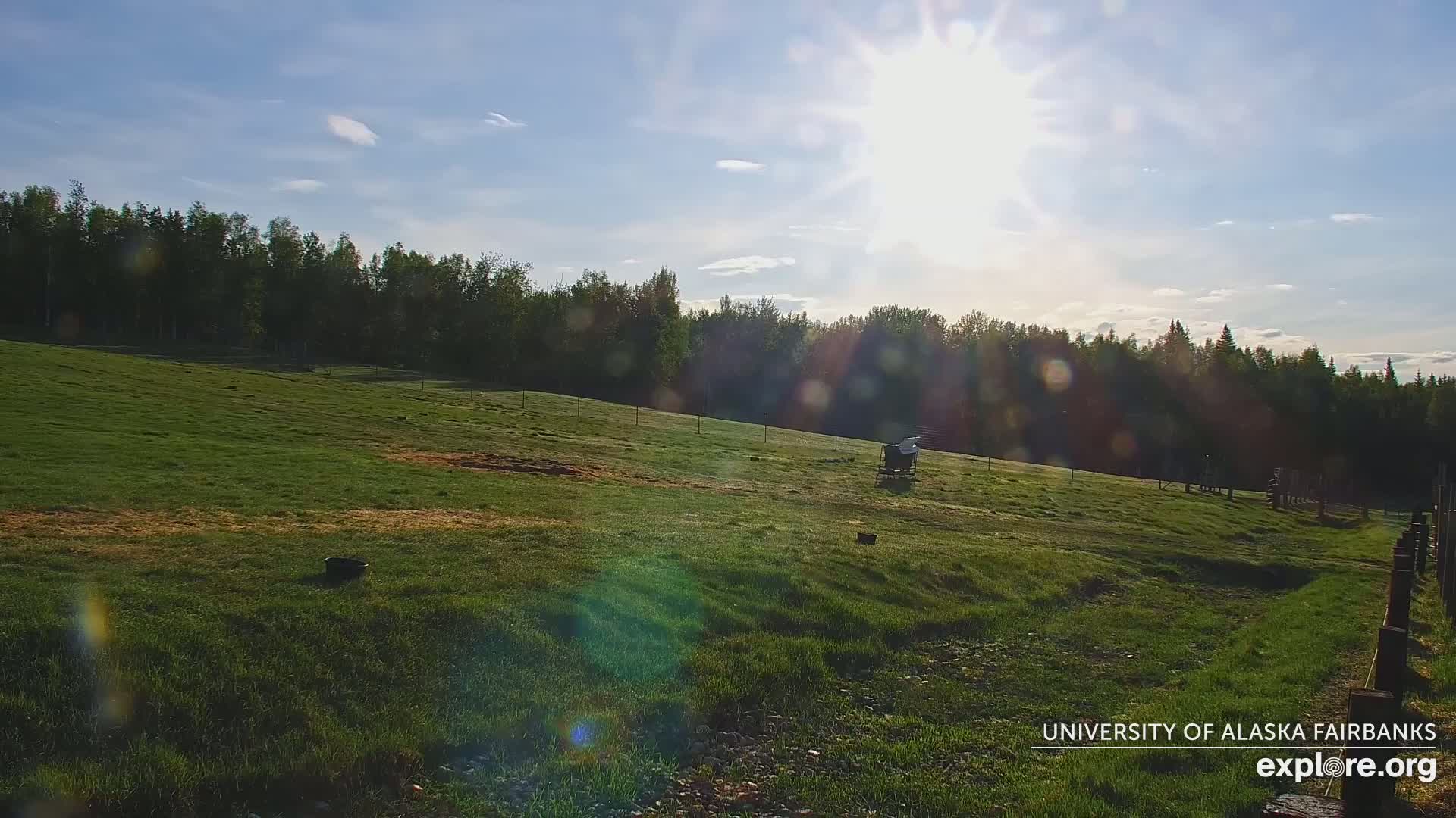 A grassy field slopes gently upward toward a line of trees under a mostly sunny sky.