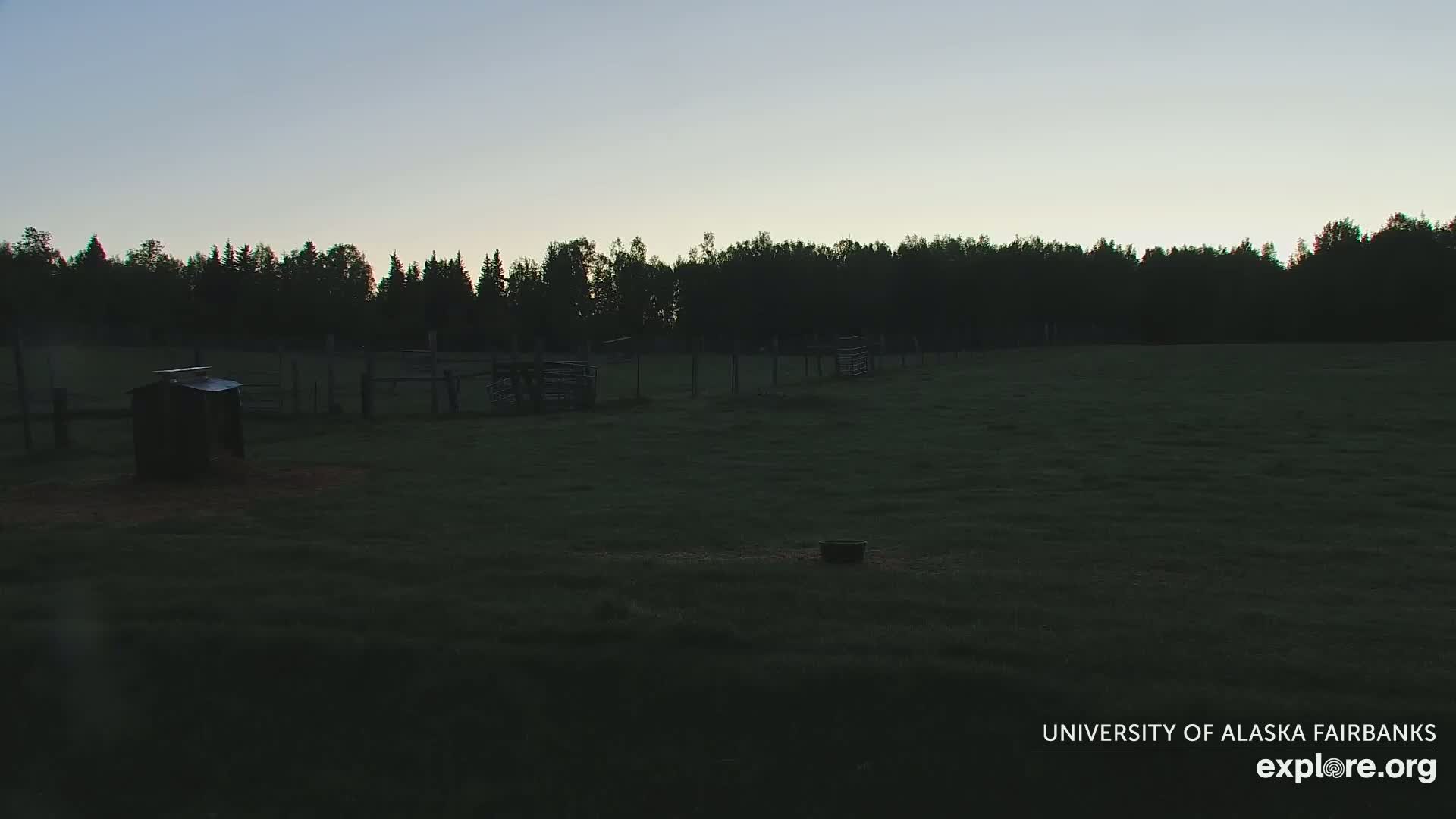 A dark, grassy field with a small shed and several empty animal pens is visible at dusk under a clear sky, backed by a dark line of trees.