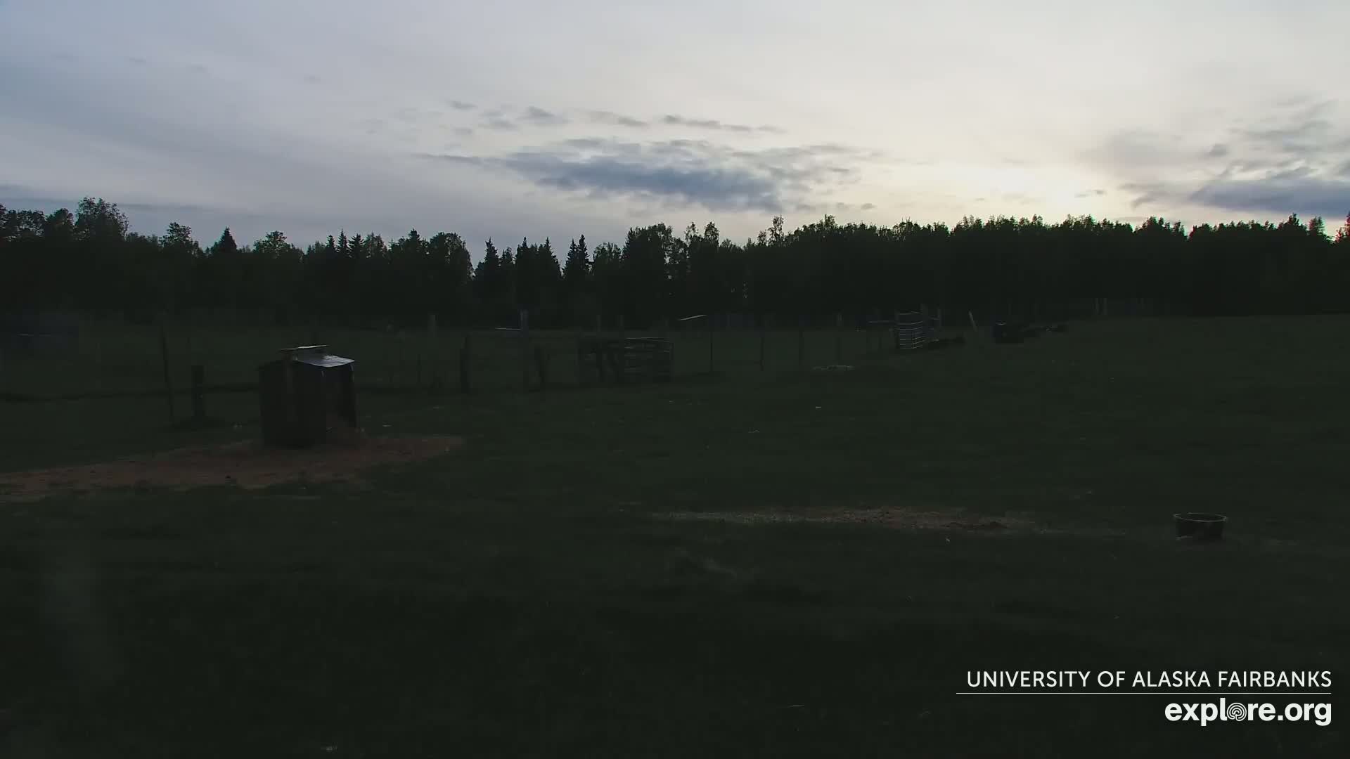 A dark, grassy field with a few animal enclosures and a small structure under a mostly cloudy, twilight sky.