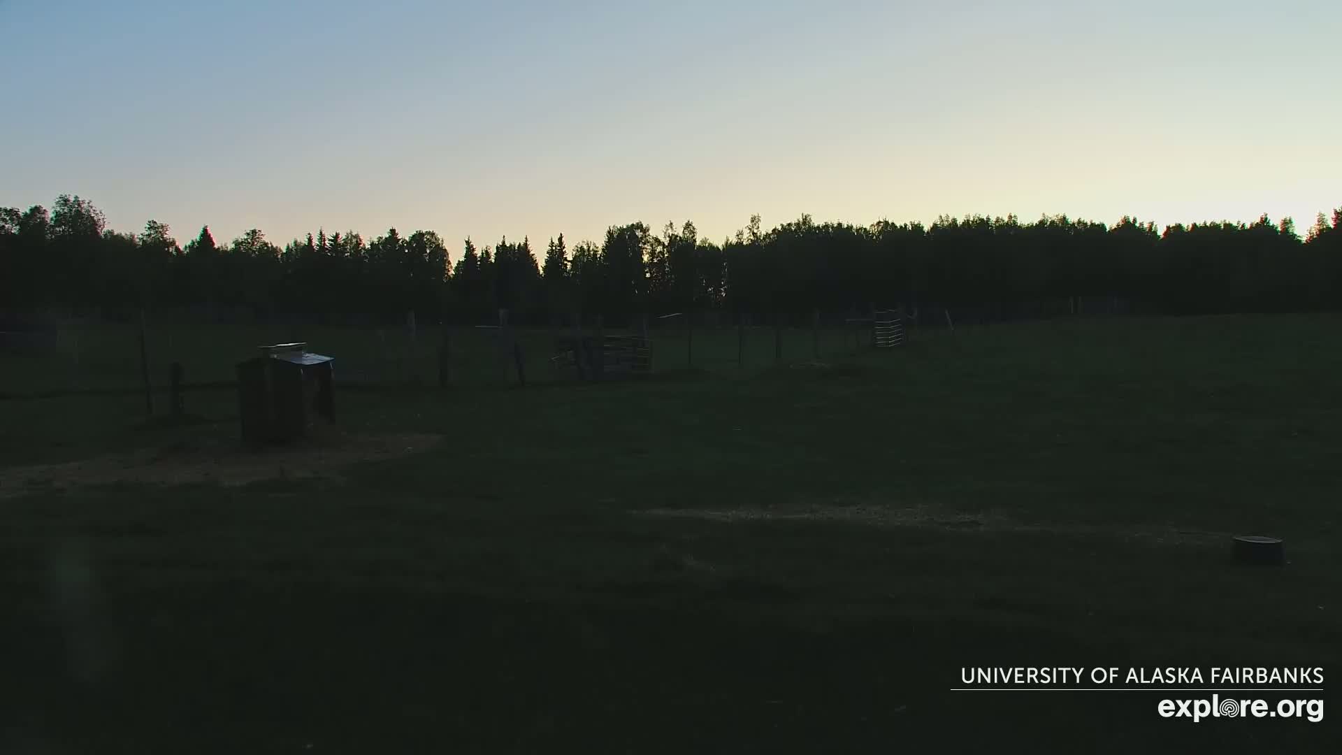 A dark, grassy field with a few small structures and a fence is visible at dusk under a clear sky.