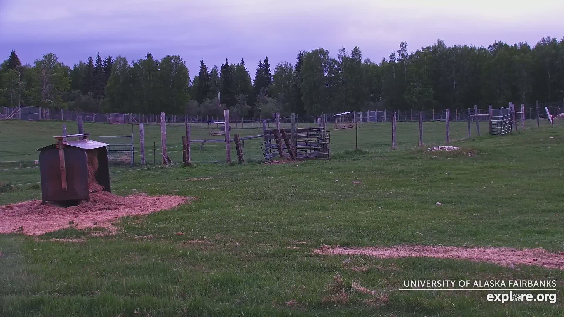 A grassy pasture under an overcast sky contains several animal enclosures, including a hay feeder with spilled feed on the ground.