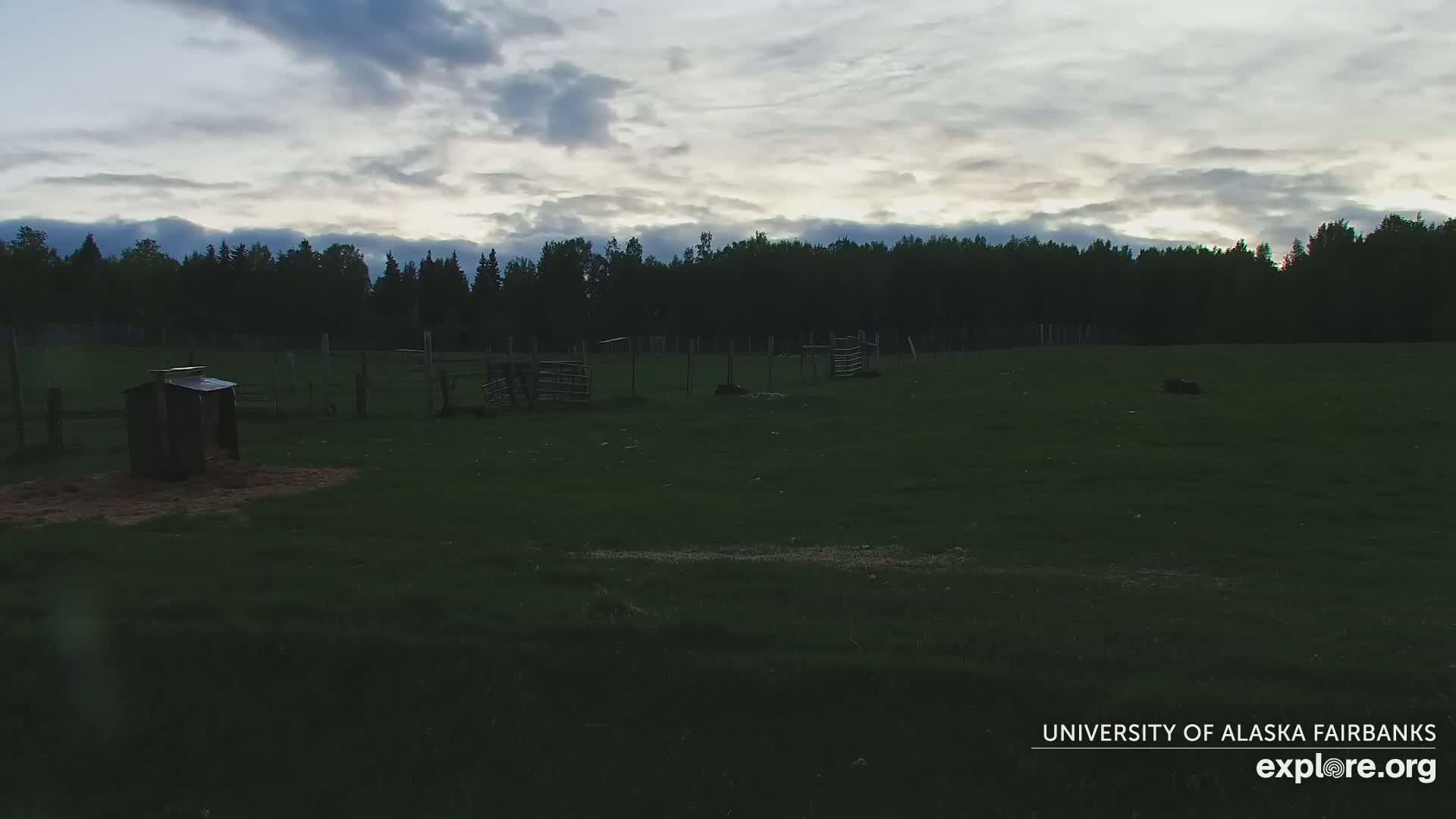 A grassy pasture with several animal pens and a small structure is visible under a cloudy sky at dusk.