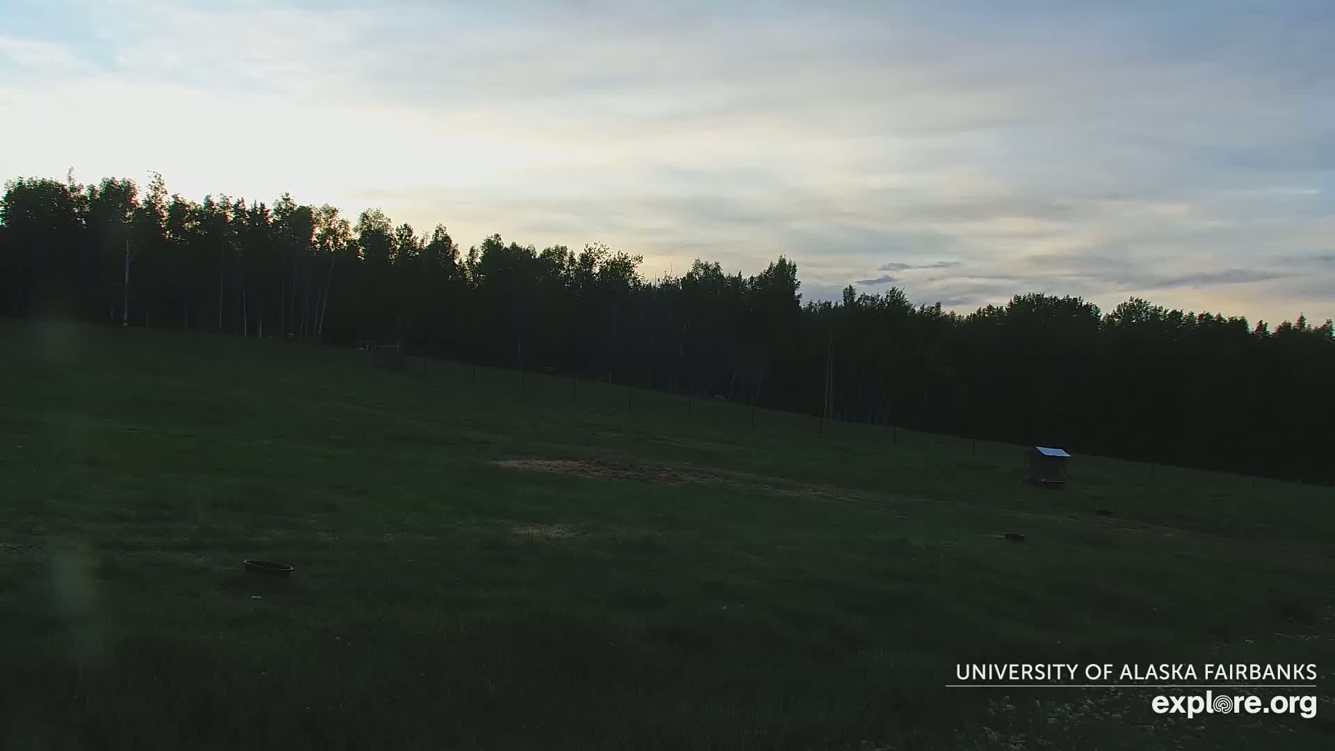 A grassy field slopes gently upward to a dark line of trees under a partly cloudy, dusky sky.