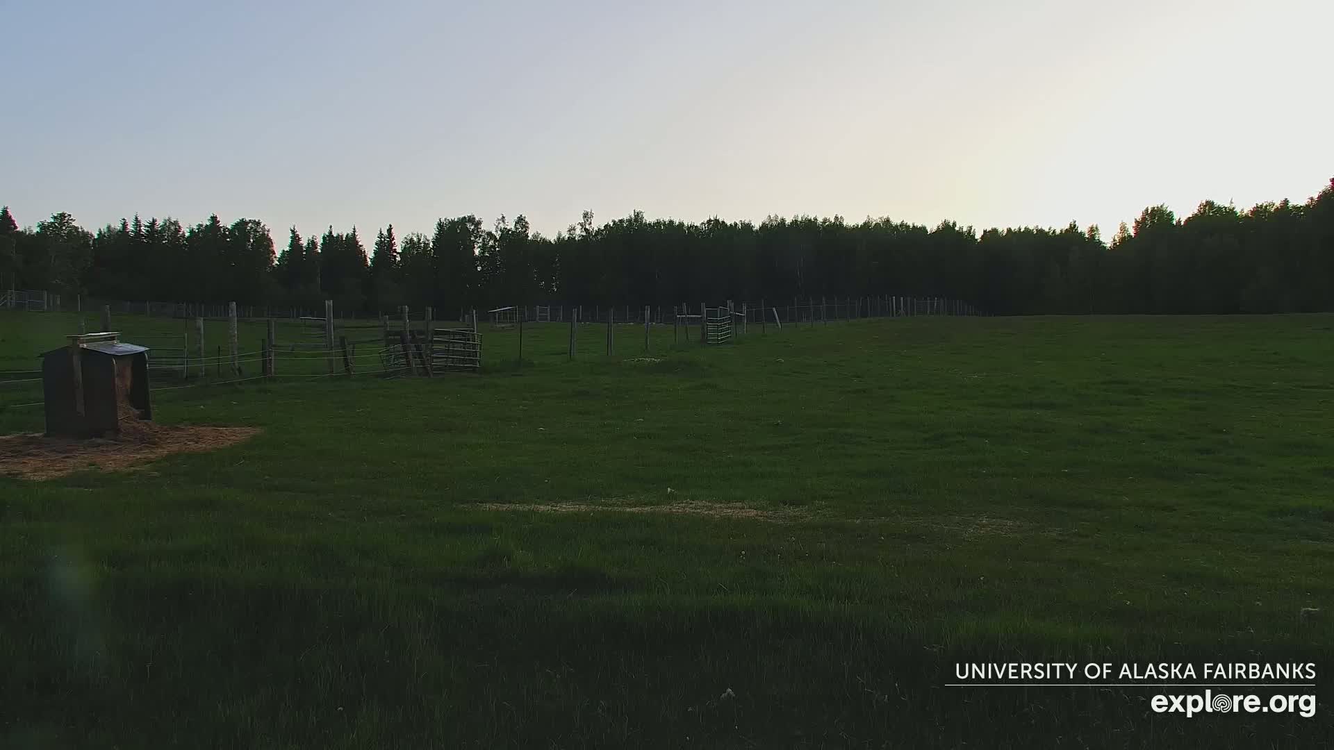 A grassy field with several small fences and a feed bin sits under a twilight sky, bordered by a dark line of trees.