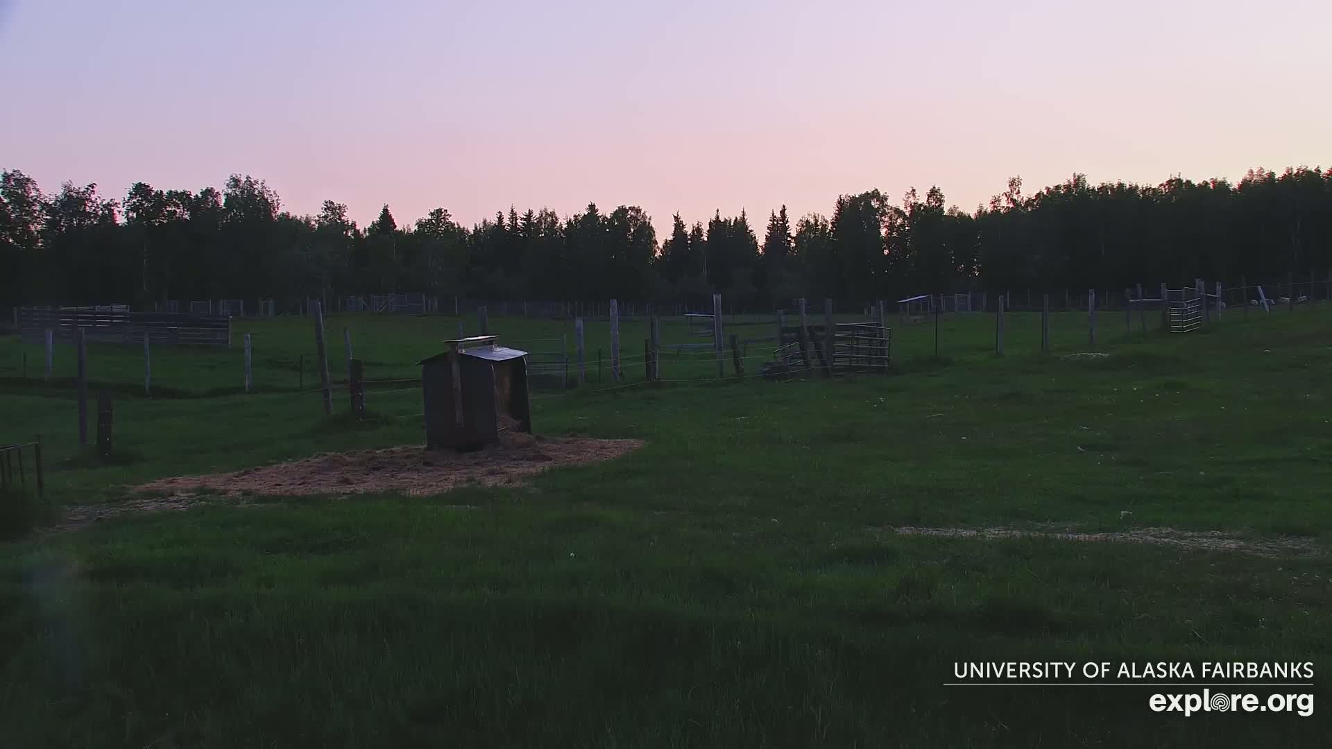 A grassy pasture at dusk, enclosed by fences and containing several animal pens and a small shed.