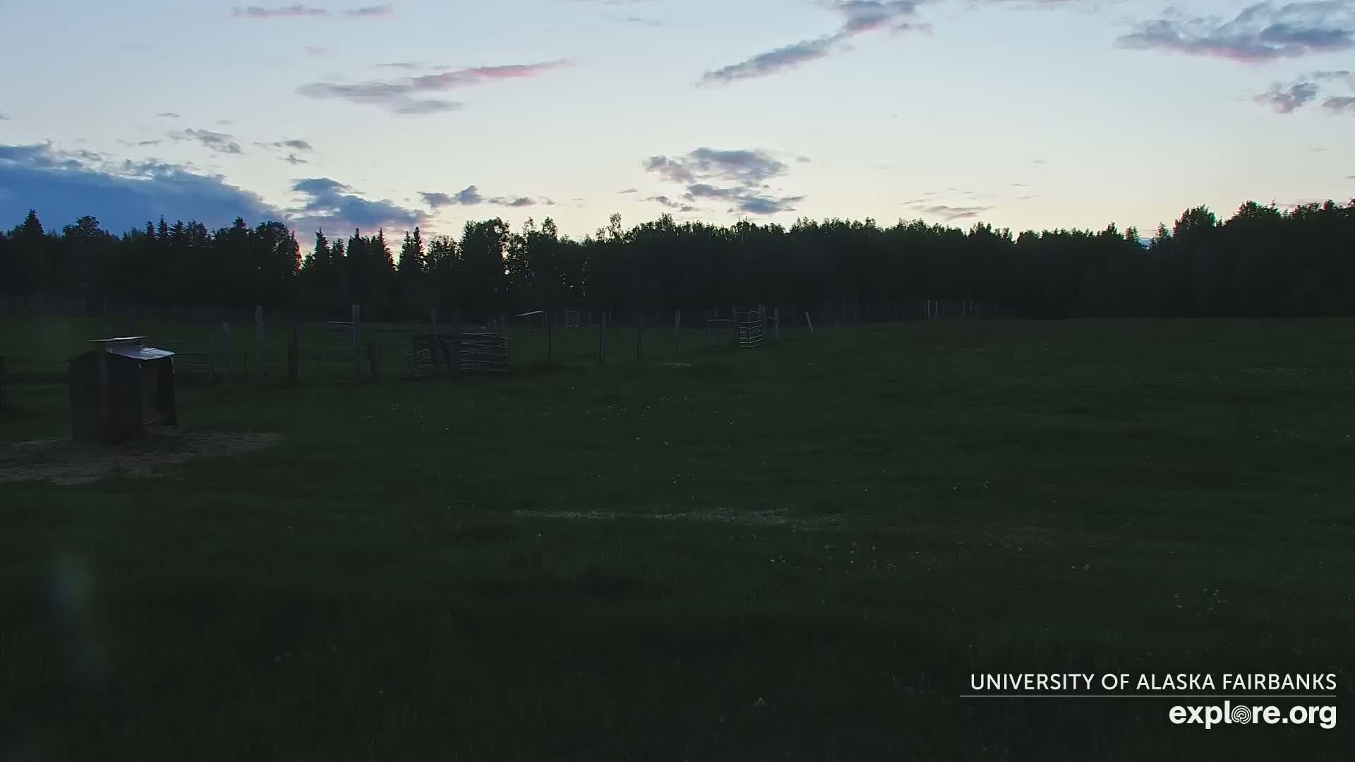 A dark green pasture with a small shed and some fencing is visible under a twilight sky with scattered clouds.