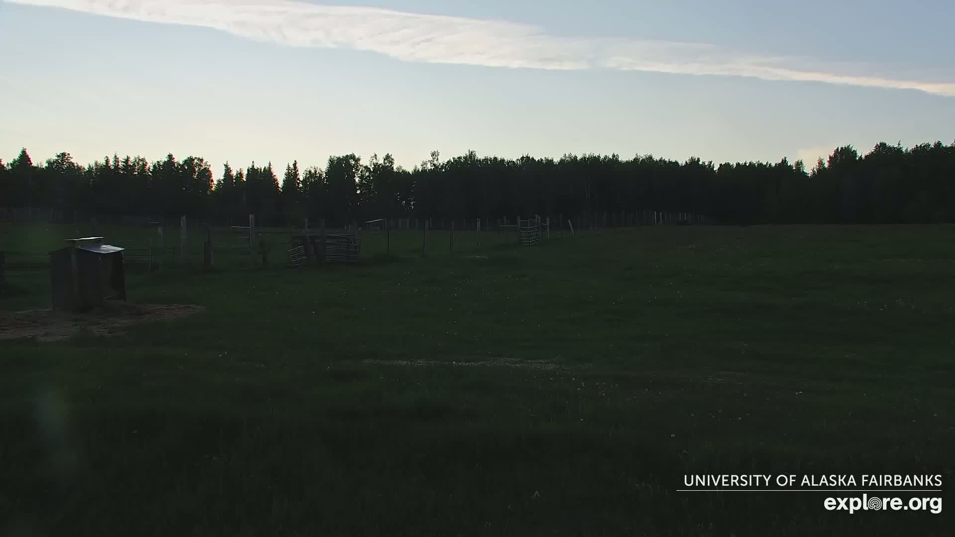 A grassy field with several small animal enclosures is visible, under a twilight sky with a few clouds.