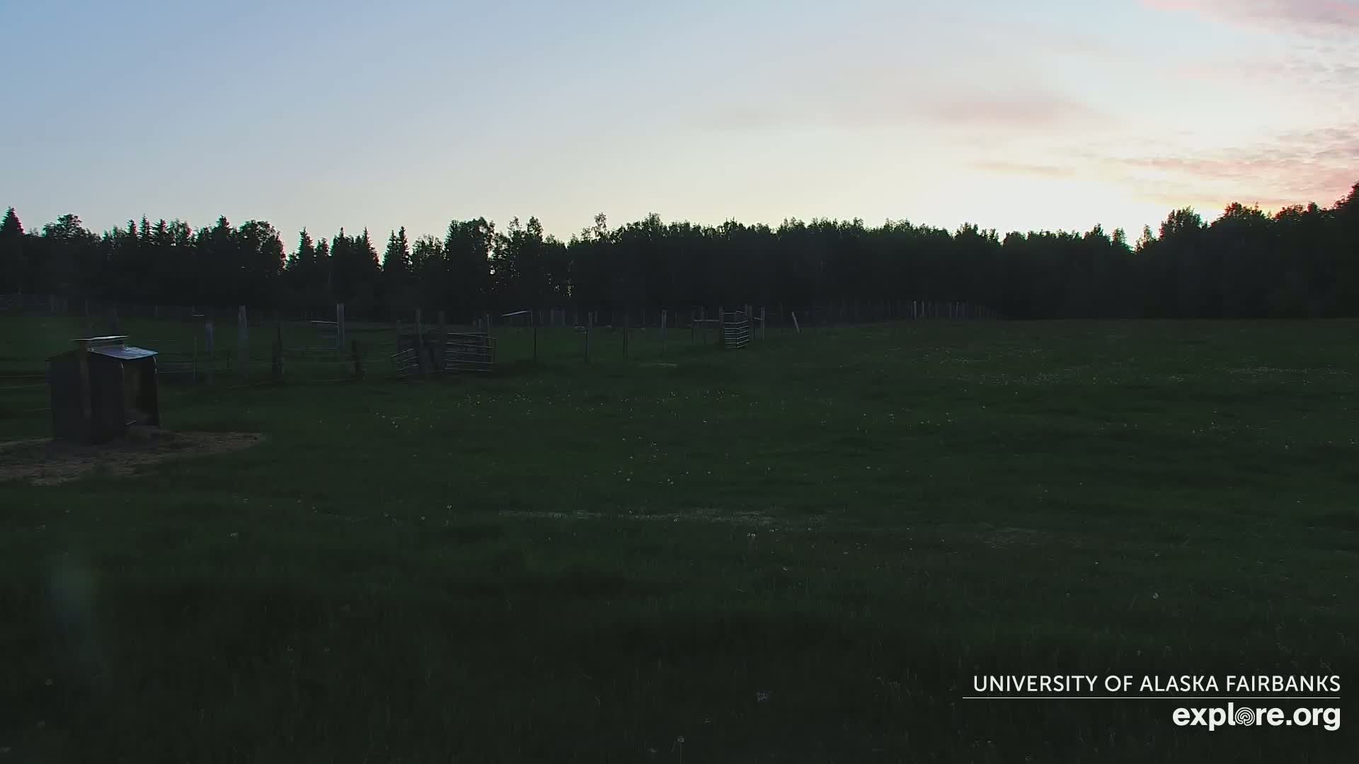A grassy field with a small shed and several corral sections is visible at dusk under a pale pink and blue sky.