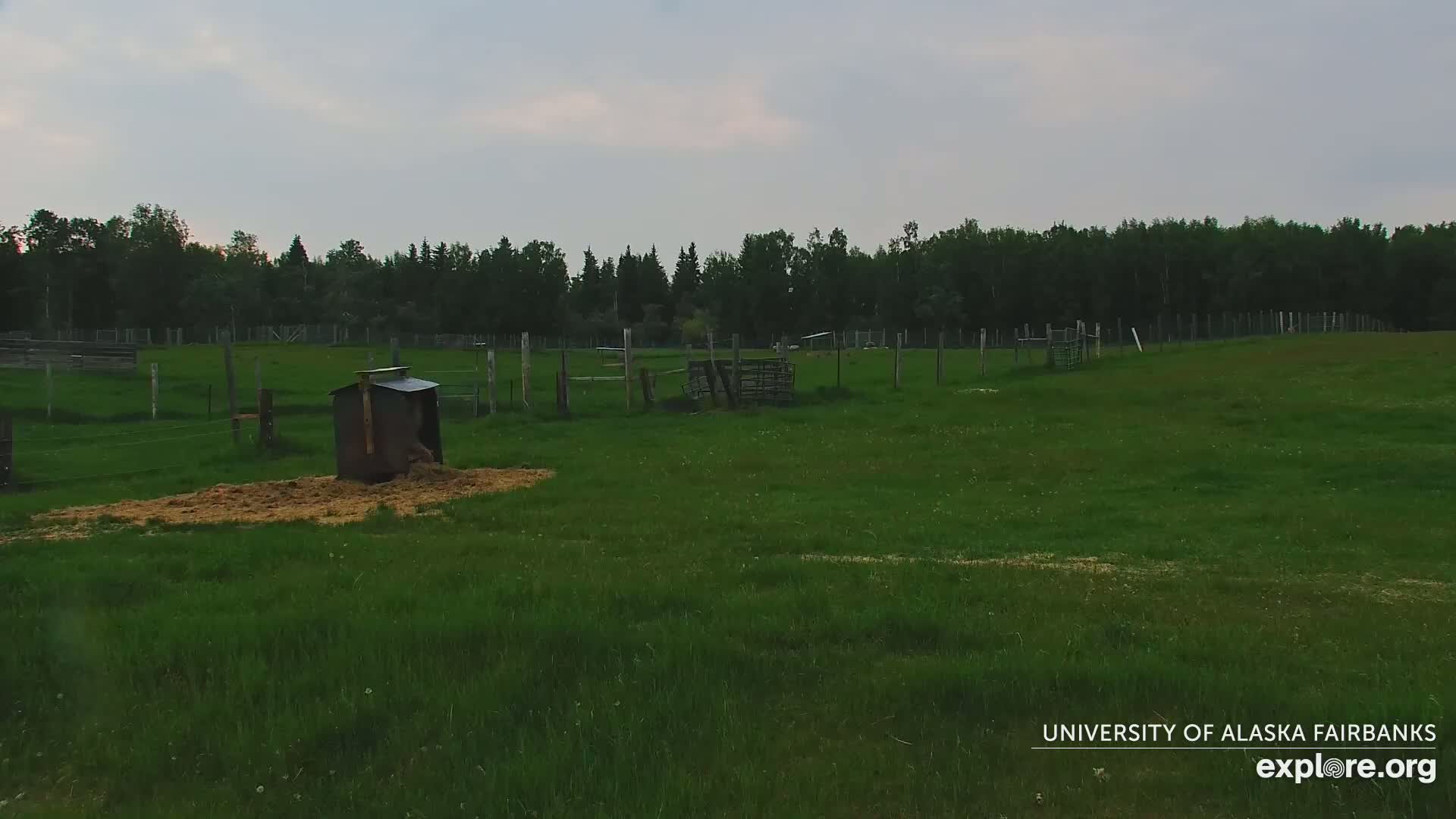 A grassy fenced pasture with a small shelter and hay pile, under a cloudy sky.