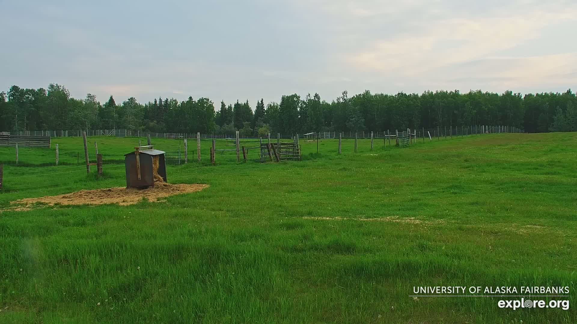 A green pasture enclosed by wire fencing, with a hay feeder and a small corral, under a mostly cloudy sky.