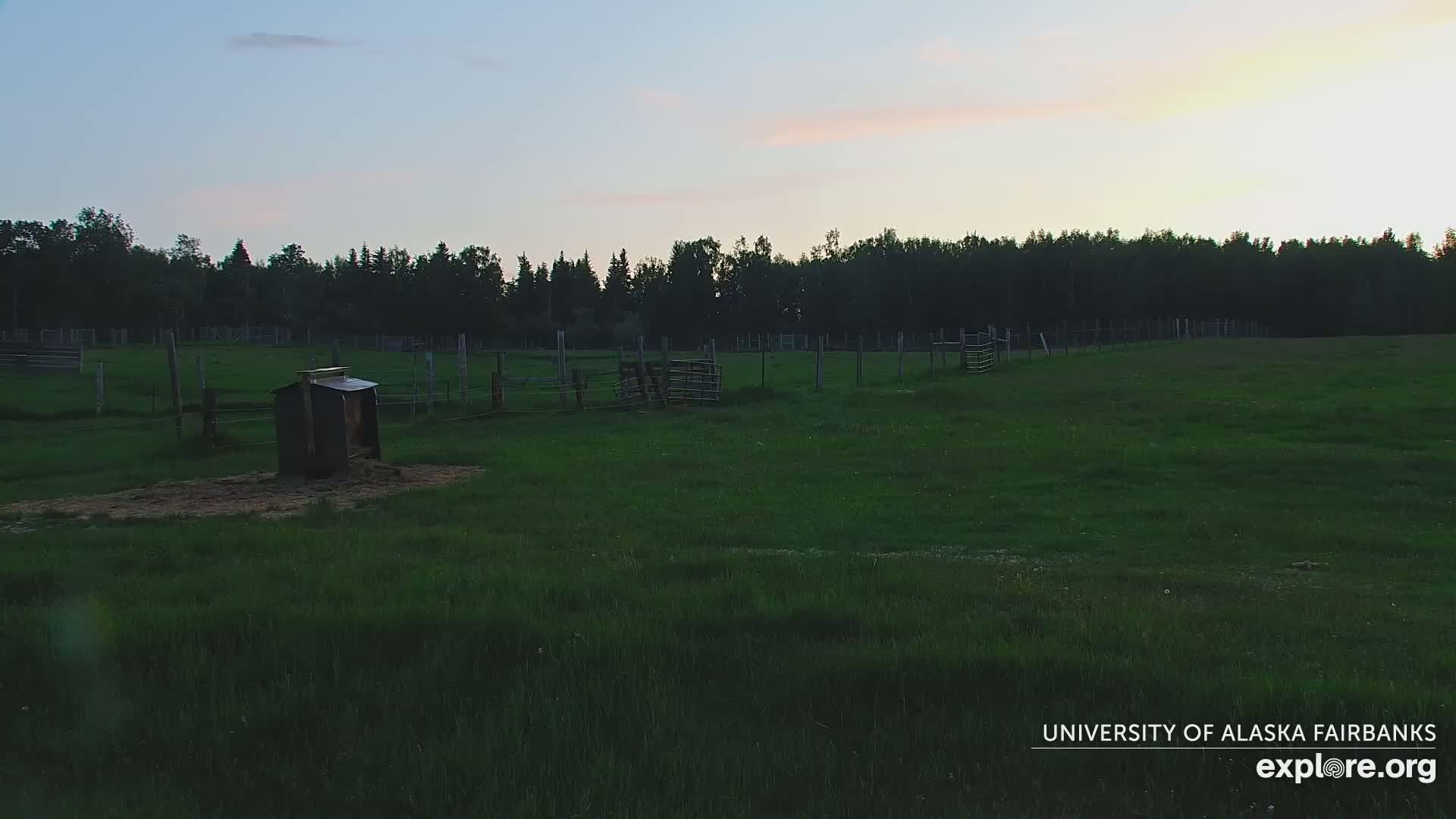 A small, dark structure sits in a grassy field enclosed by fences, under a twilight sky.