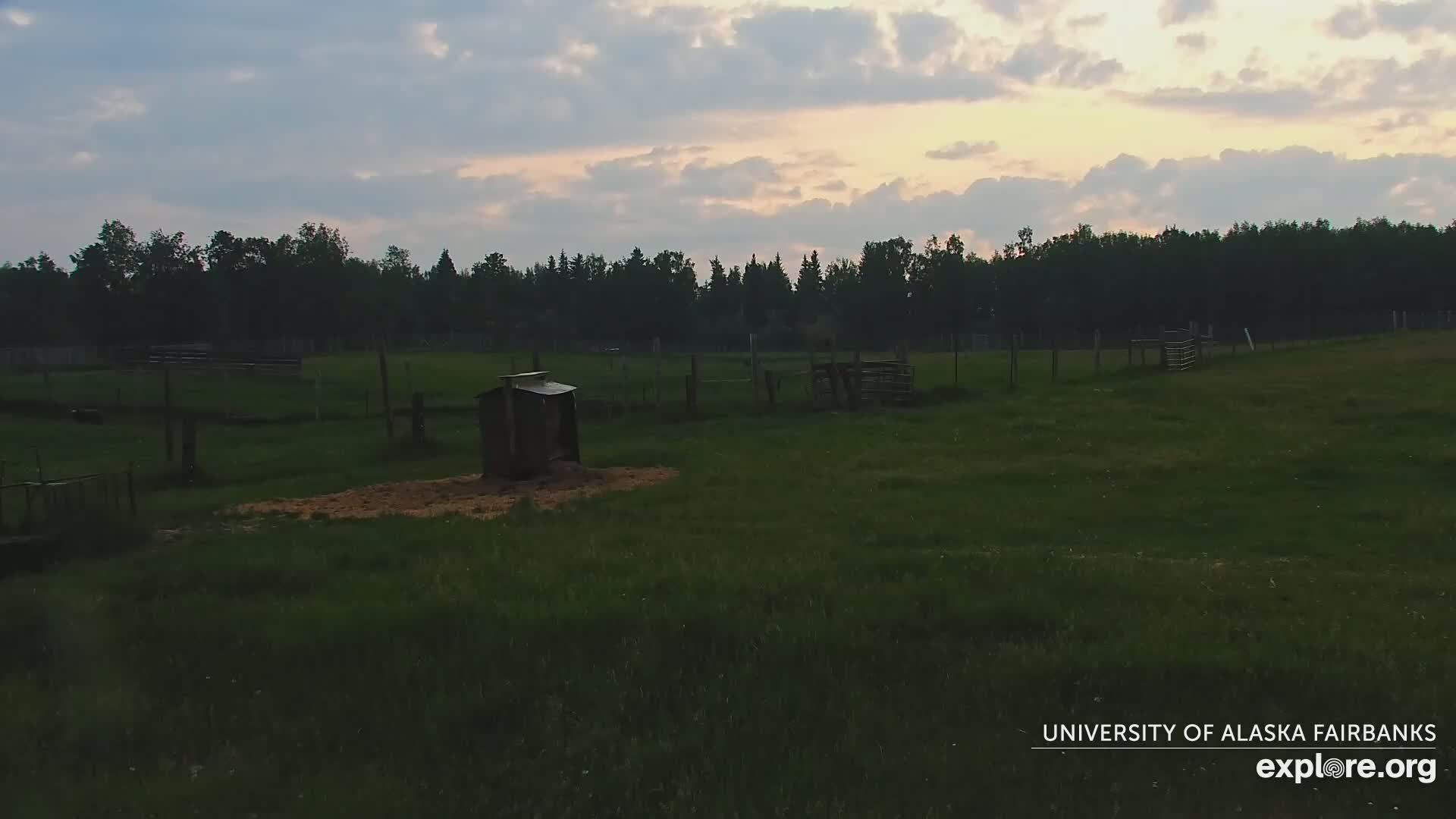 A grassy pasture with a small shed and a line of trees in the background under a partly cloudy, dusky sky.