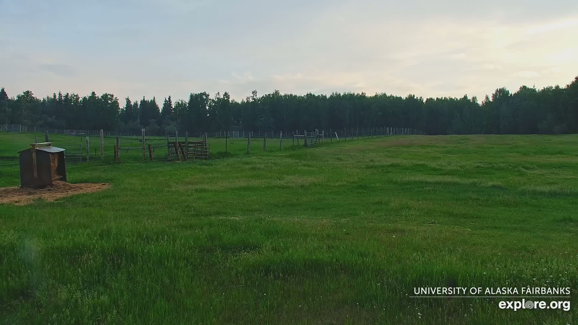 A grassy field with wooden fences, a hay feeder, and a line of trees in the background under a partly cloudy sky.