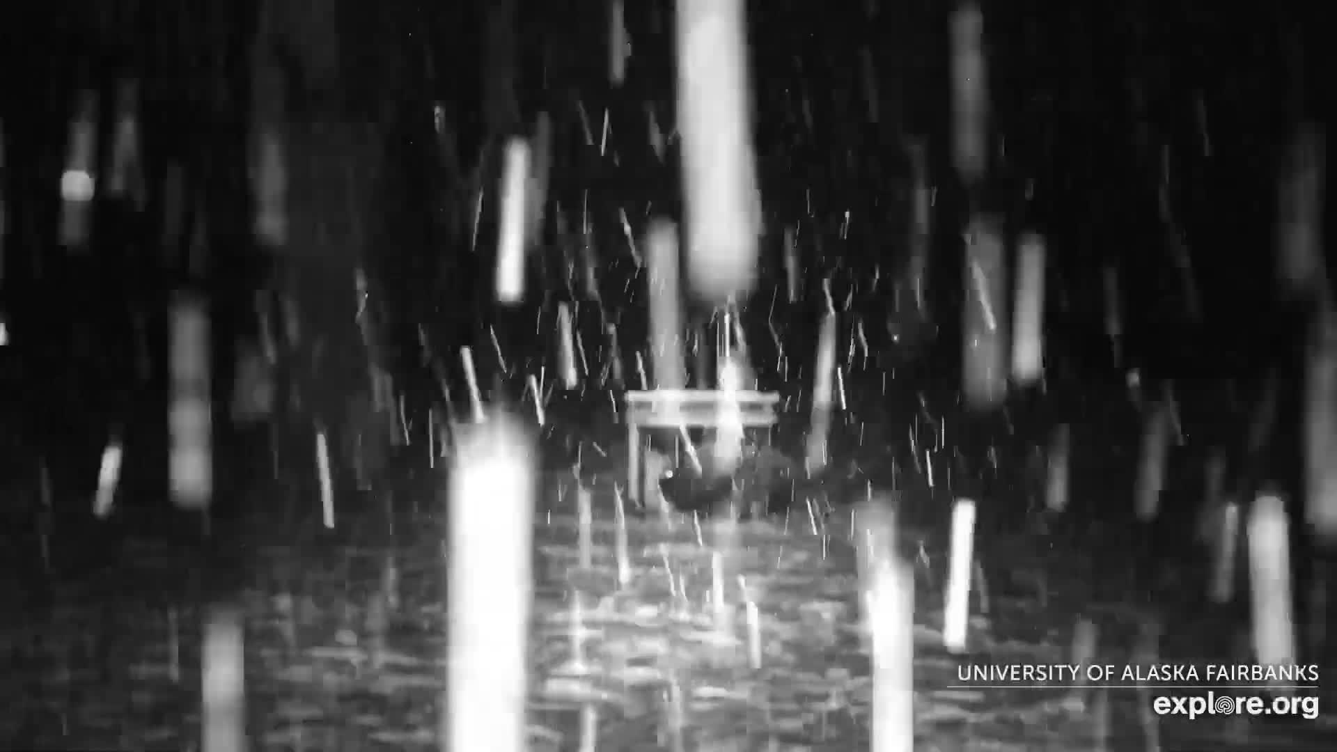 Heavy snow falls at night across a dark and blurry outdoor scene, depicted by numerous bright, streaking flakes against a dark background with an indistinct structure faintly visible in the mid-ground.