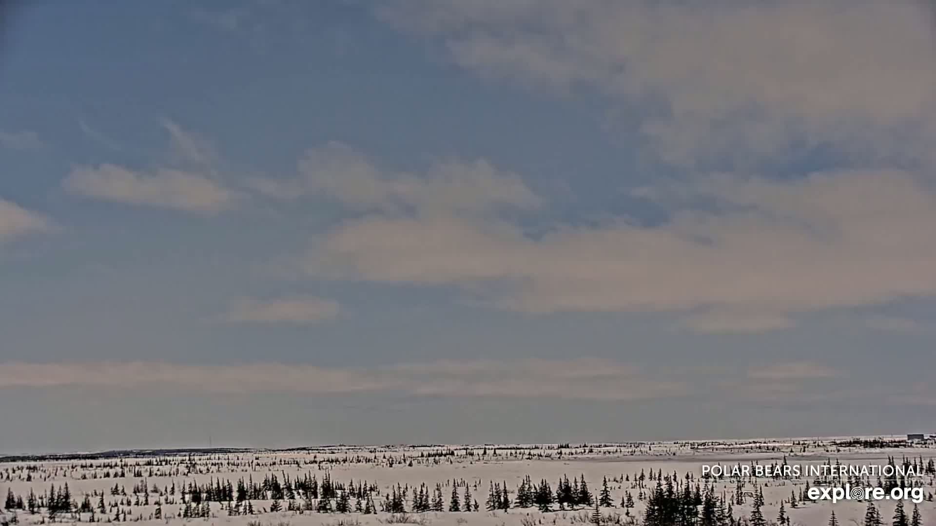 A snow-covered, sparsely treed landscape stretches under a mostly clear, pale blue sky with thin, wispy clouds.