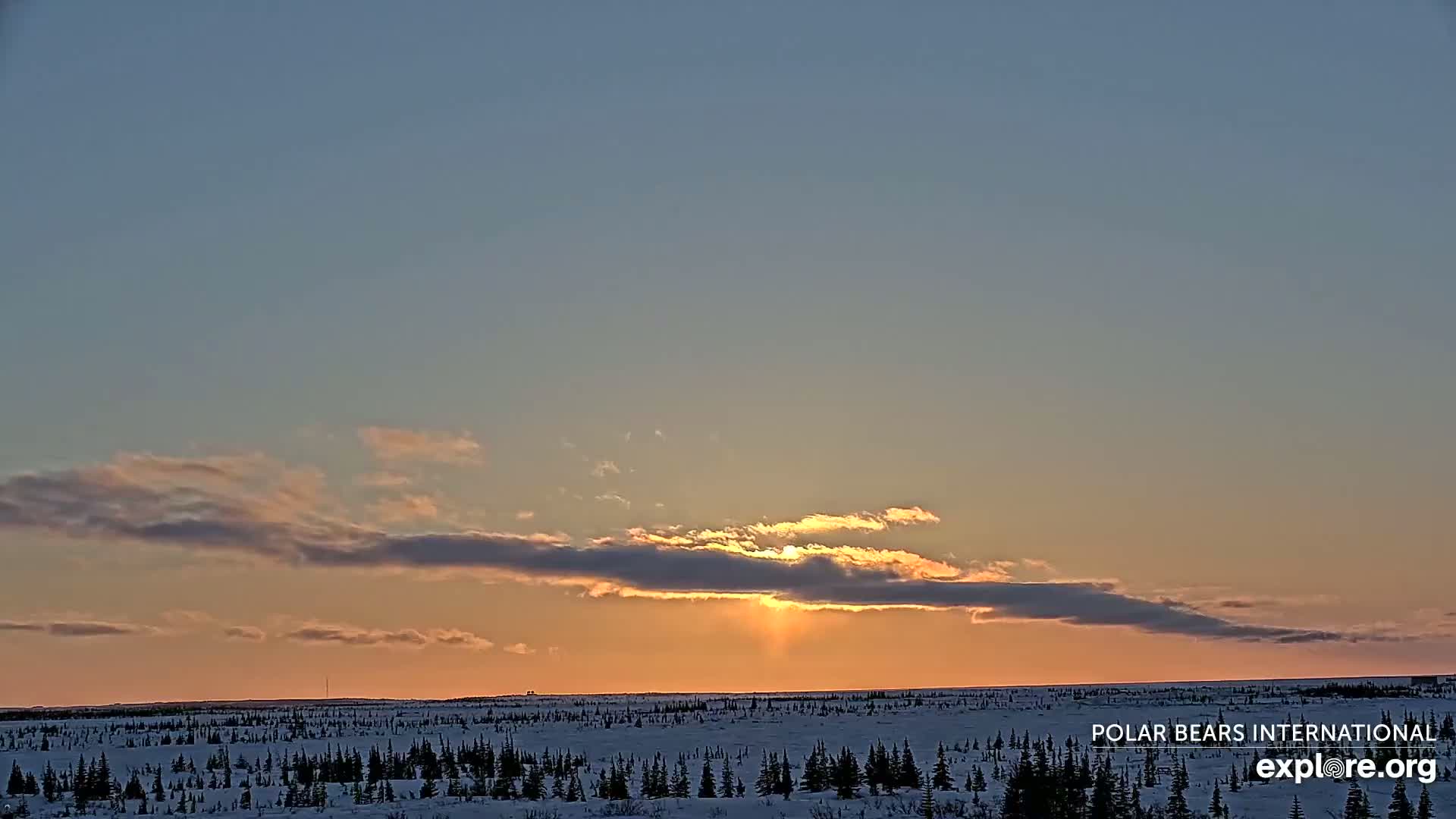 A snowy, flat landscape of evergreen trees is silhouetted against a sunset sky with a band of clouds partially obscuring the sun.