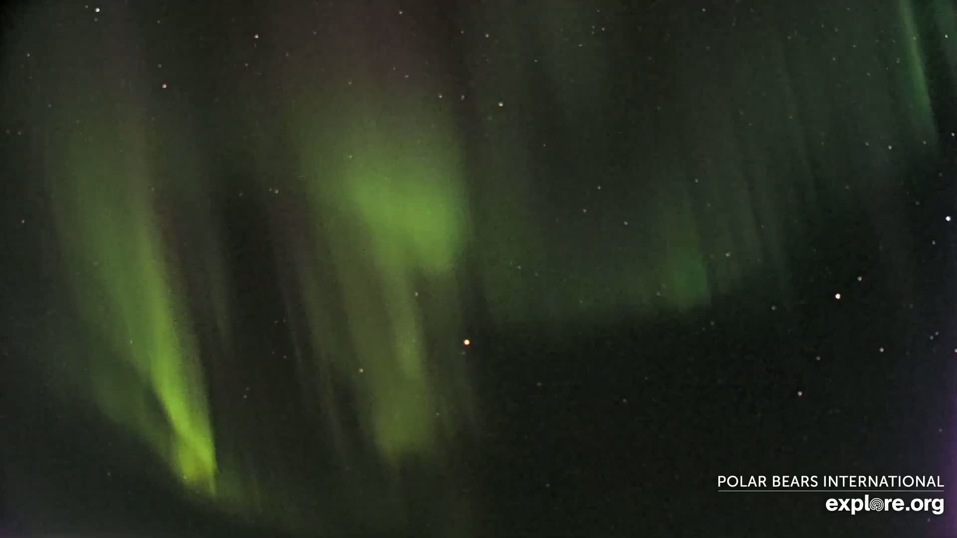 Swirling green and purple aurora borealis fills a dark night sky speckled with stars.