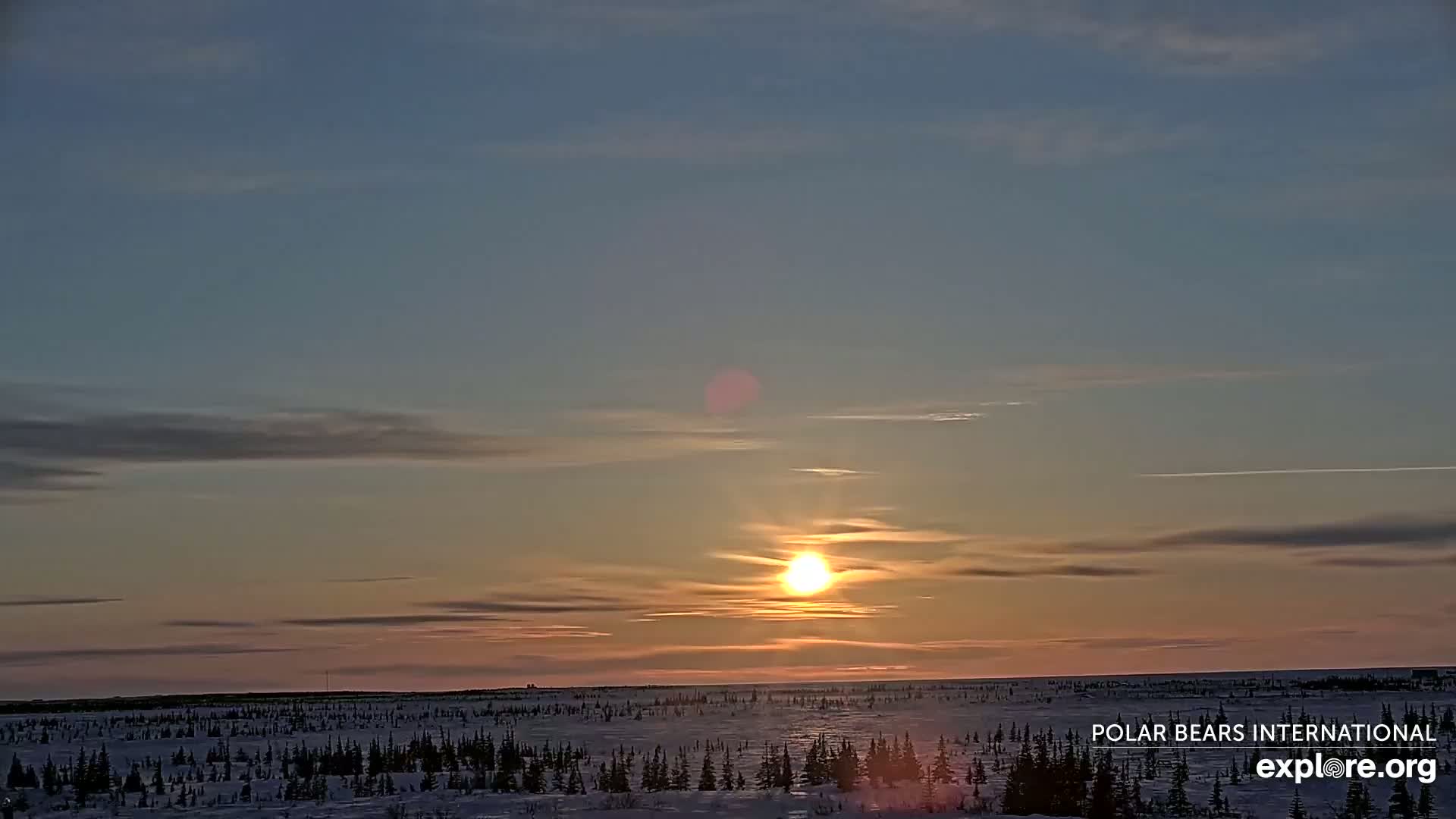 A low-lying sun sets over a snow-covered, flat landscape of sparse, dark evergreen trees under a mostly clear sky with thin clouds.