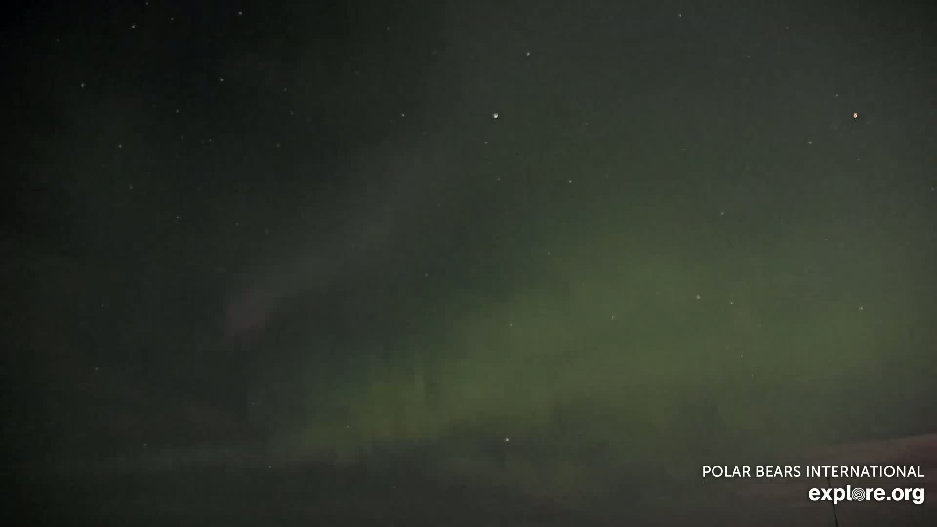 A night sky displays a faint, greenish aurora borealis under a clear, starry sky.