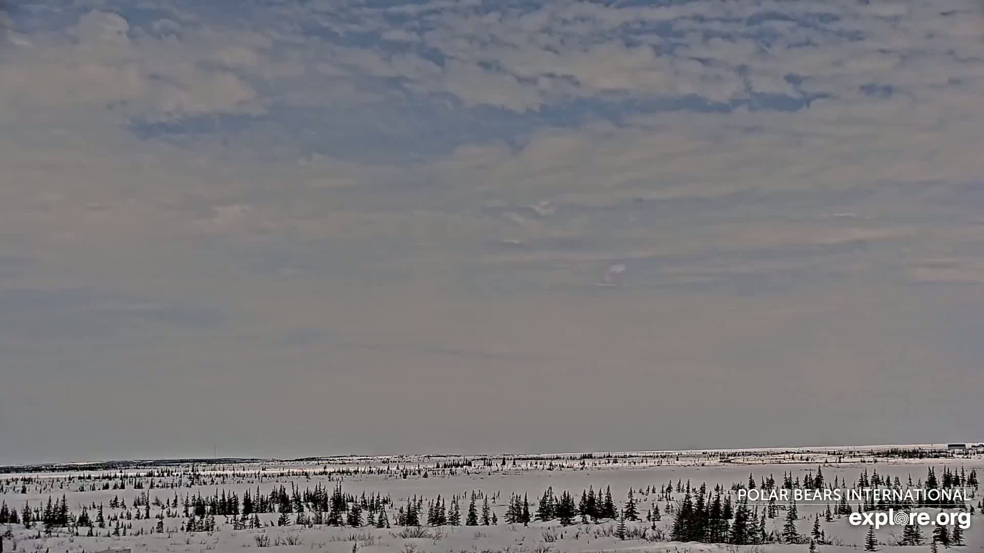A snow-covered, sparsely-treed landscape stretches to the horizon under a mostly cloudy sky.