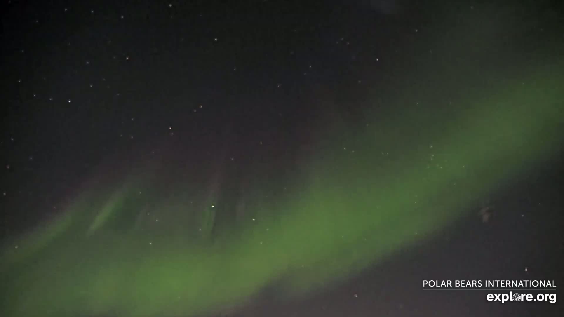 A vibrant green aurora borealis stretches across a dark night sky speckled with stars.