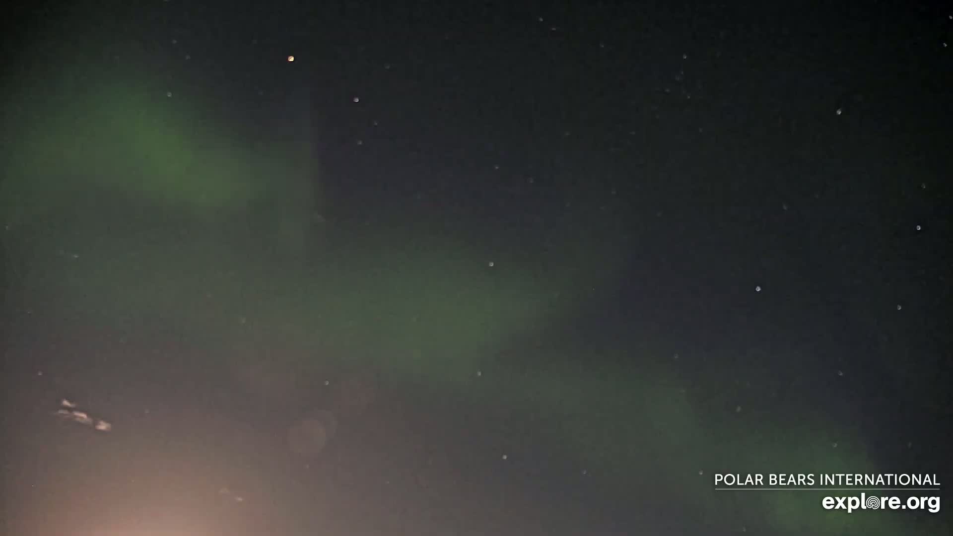 A nighttime scene shows a faint green aurora borealis in a dark sky speckled with stars.