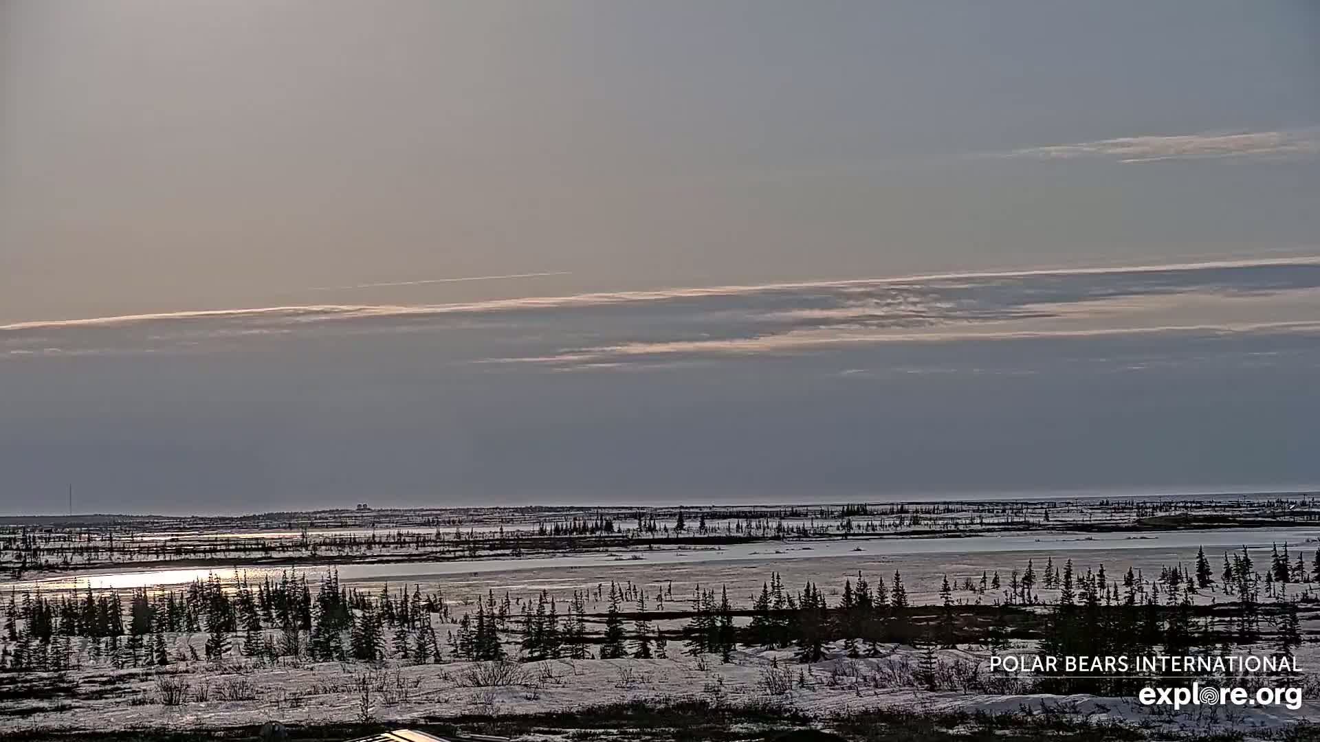 A flat, snow-covered landscape with a calm body of water reflecting the pale sunlight under a mostly clear sky.