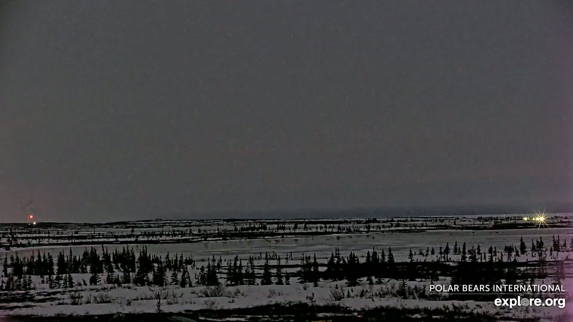 Churchill Marine Observatory, Northern Lights / Aurora Borealis / Stars View Live Cam - Churchill, Division No. 23, Northern Manitoba, Manitoba, Canada 
