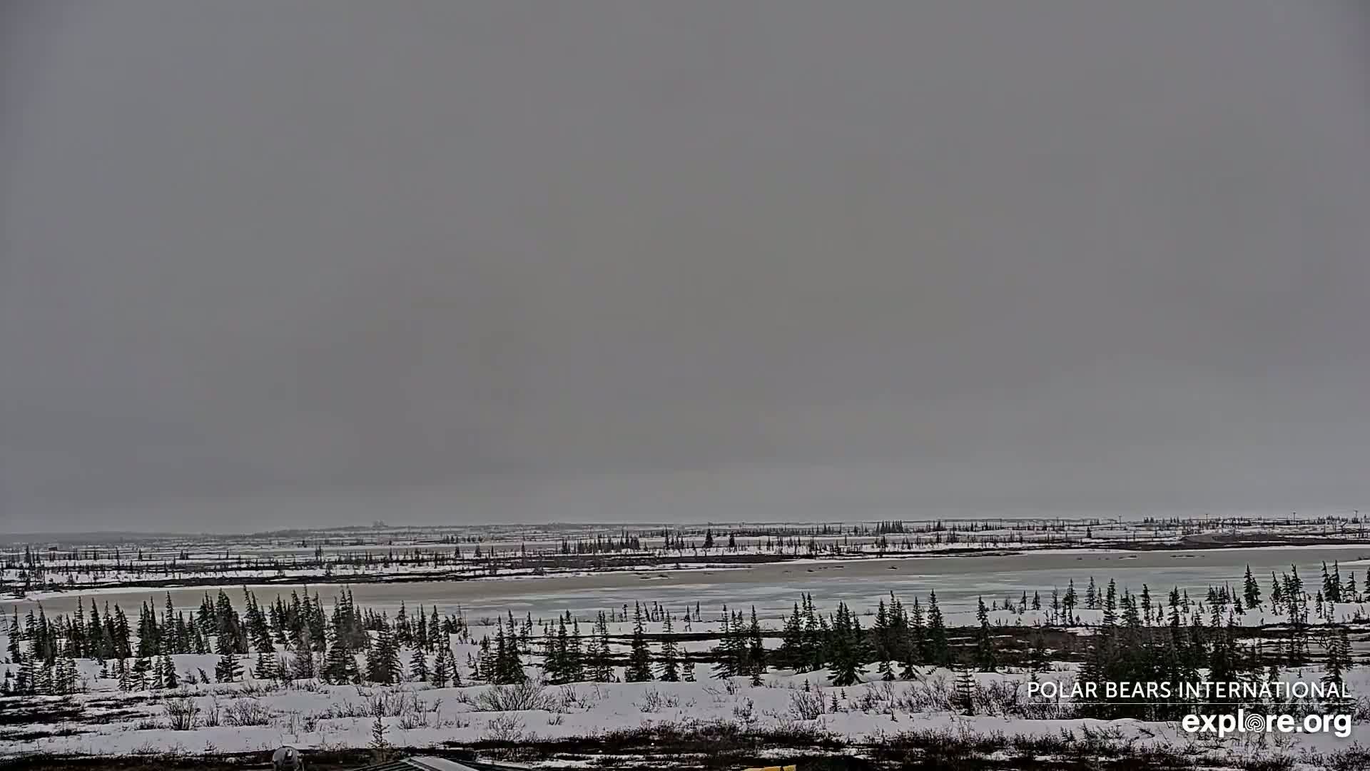 A snow-covered landscape with a partially frozen lake stretches out under an overcast sky.