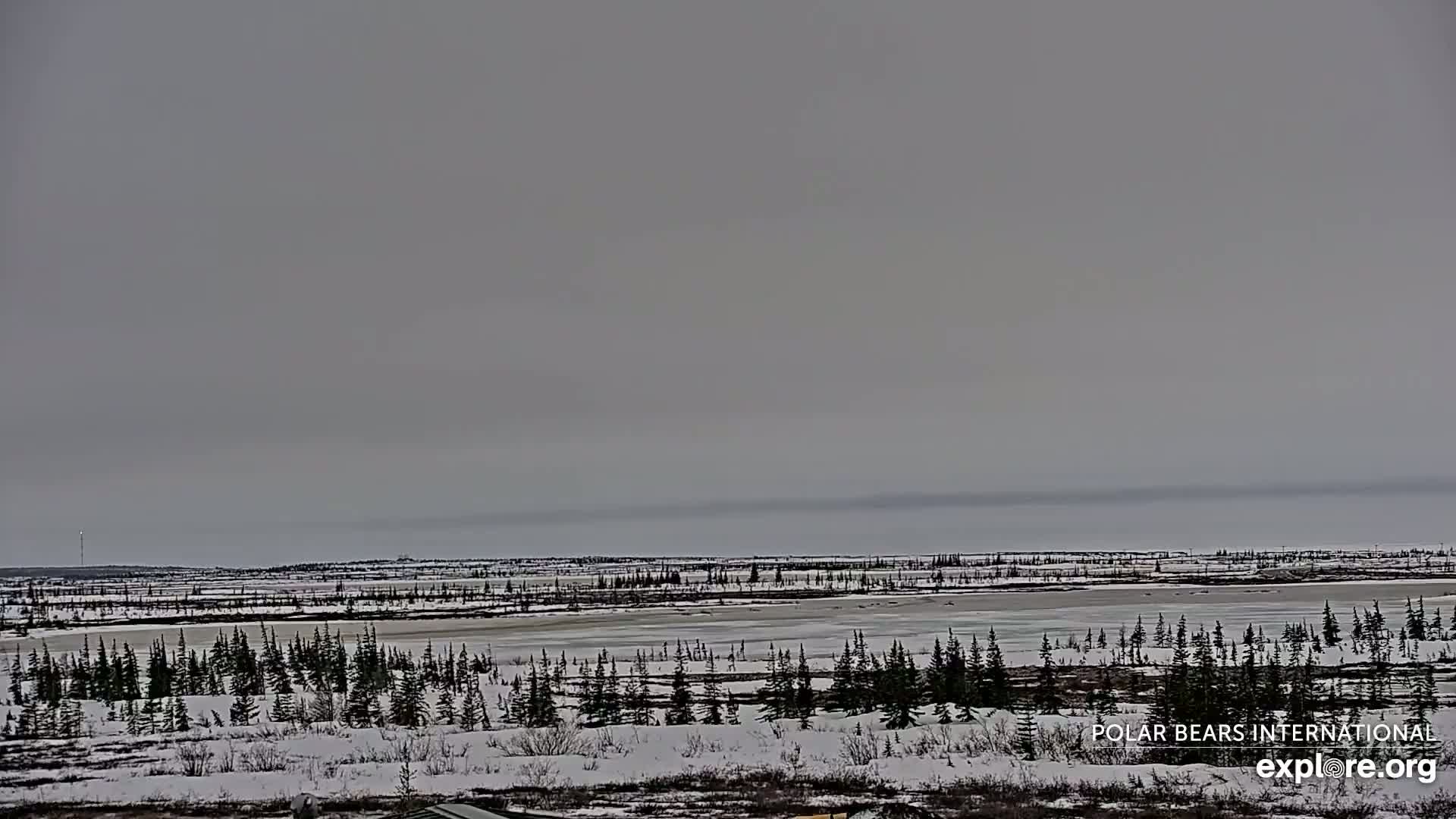 A snow-covered, flat landscape with a partially frozen lake is visible under a gray sky.