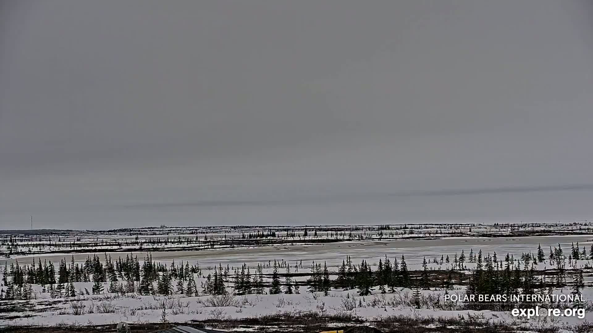 A snow-covered landscape with a partially frozen lake stretches out under a gray, overcast sky.