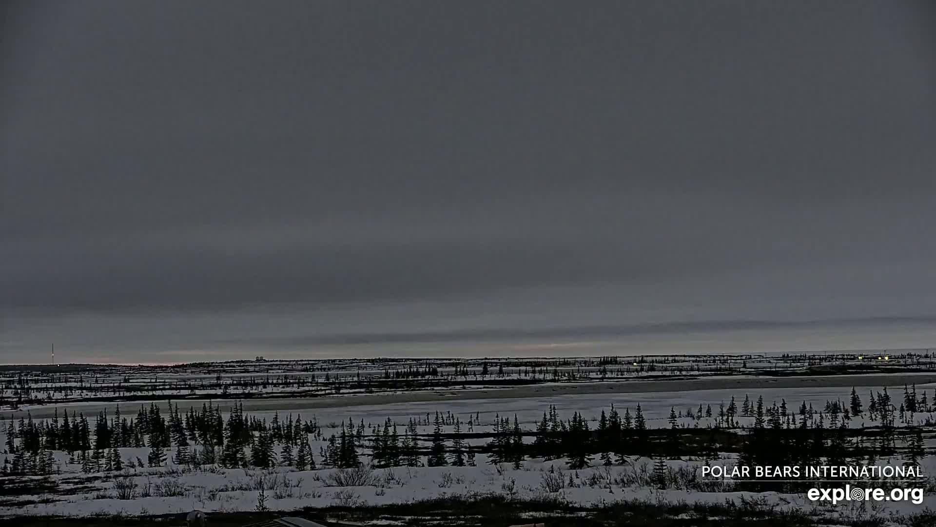 Churchill Marine Observatory, Northern Lights / Aurora Borealis / Stars View Live Cam - Churchill, Division No. 23, Northern Manitoba, Manitoba, Canada 