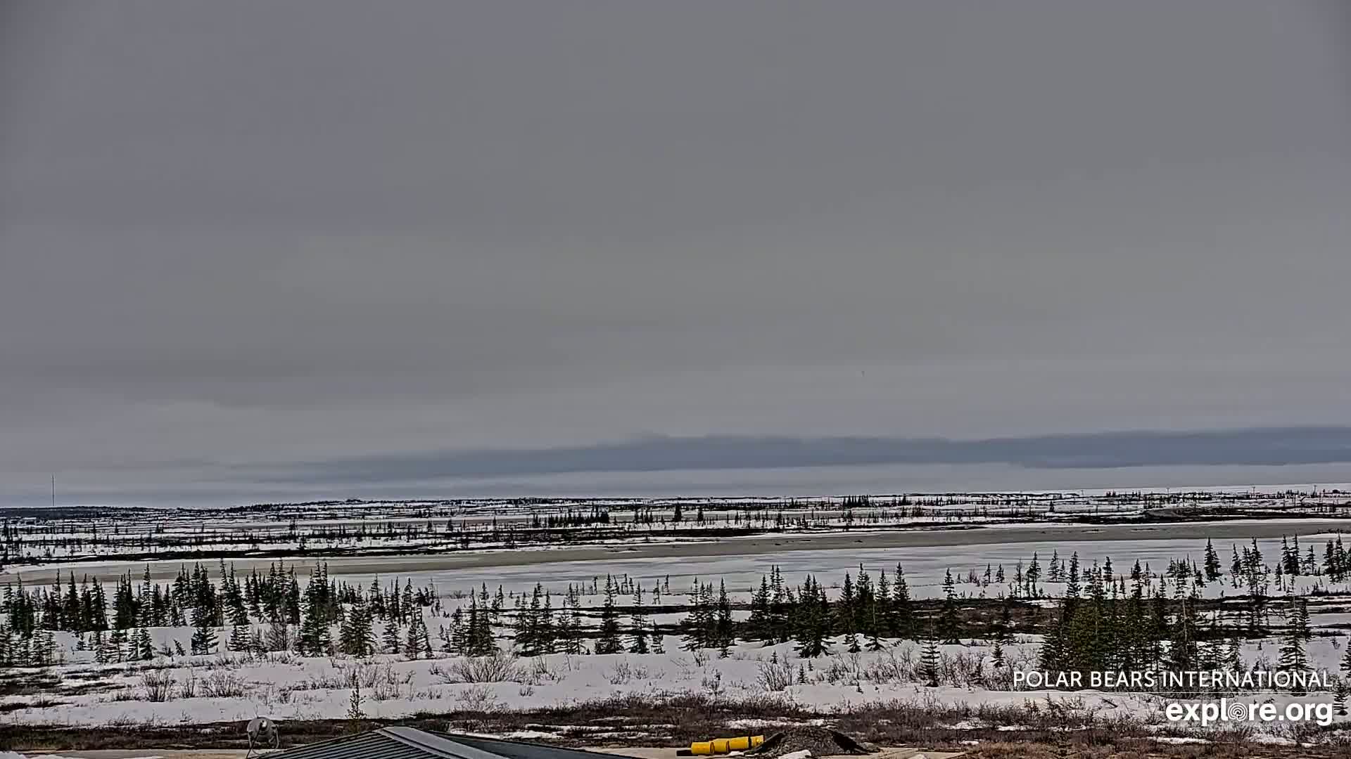 A snow-covered, flat landscape with a partially frozen lake is visible under an overcast sky.