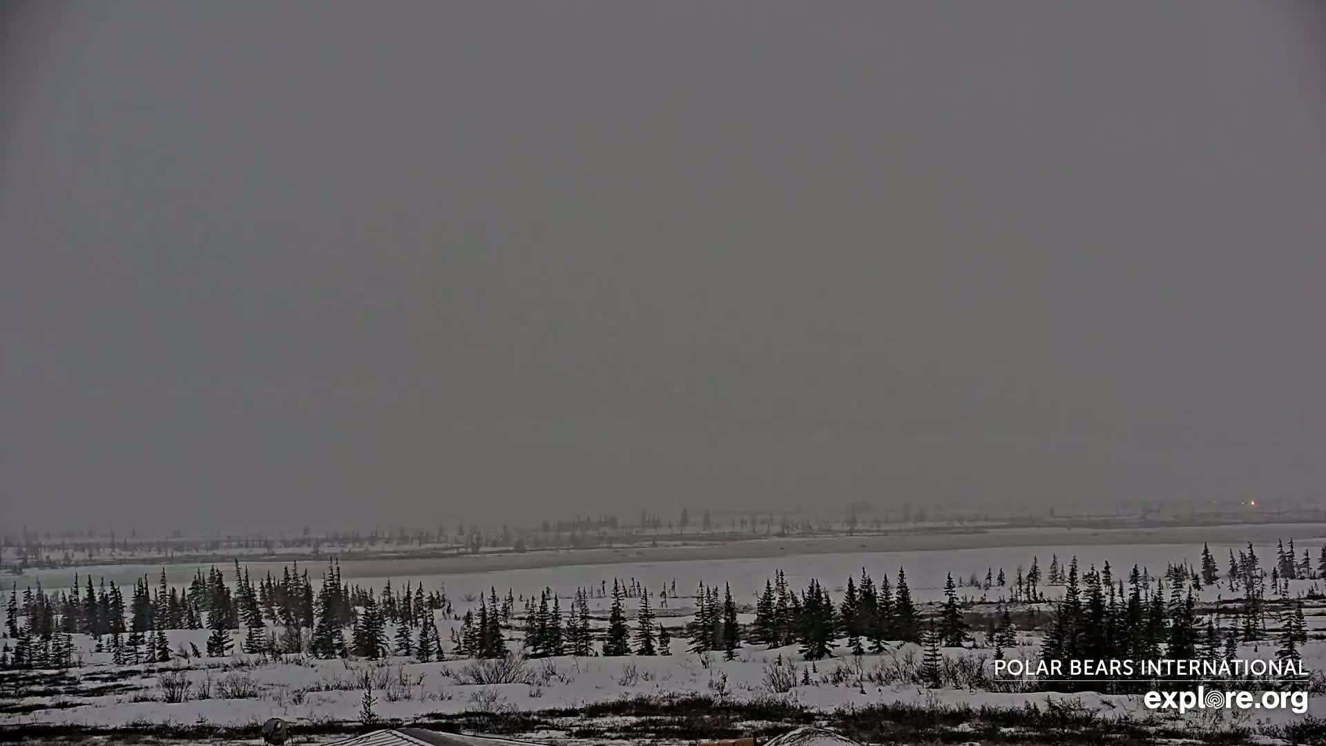 A snow-covered, flat landscape with a body of water in the background is visible under a gray, overcast sky.