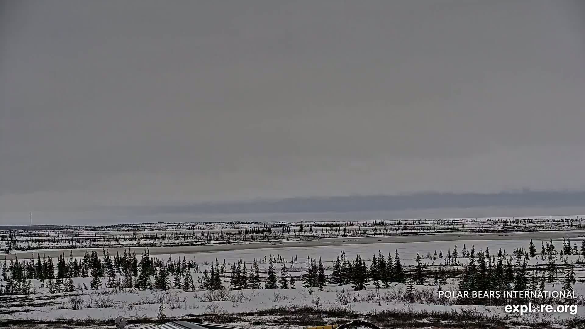 A snow-covered landscape stretches out under an overcast sky, featuring a frozen body of water and a line of evergreen trees in the foreground.
