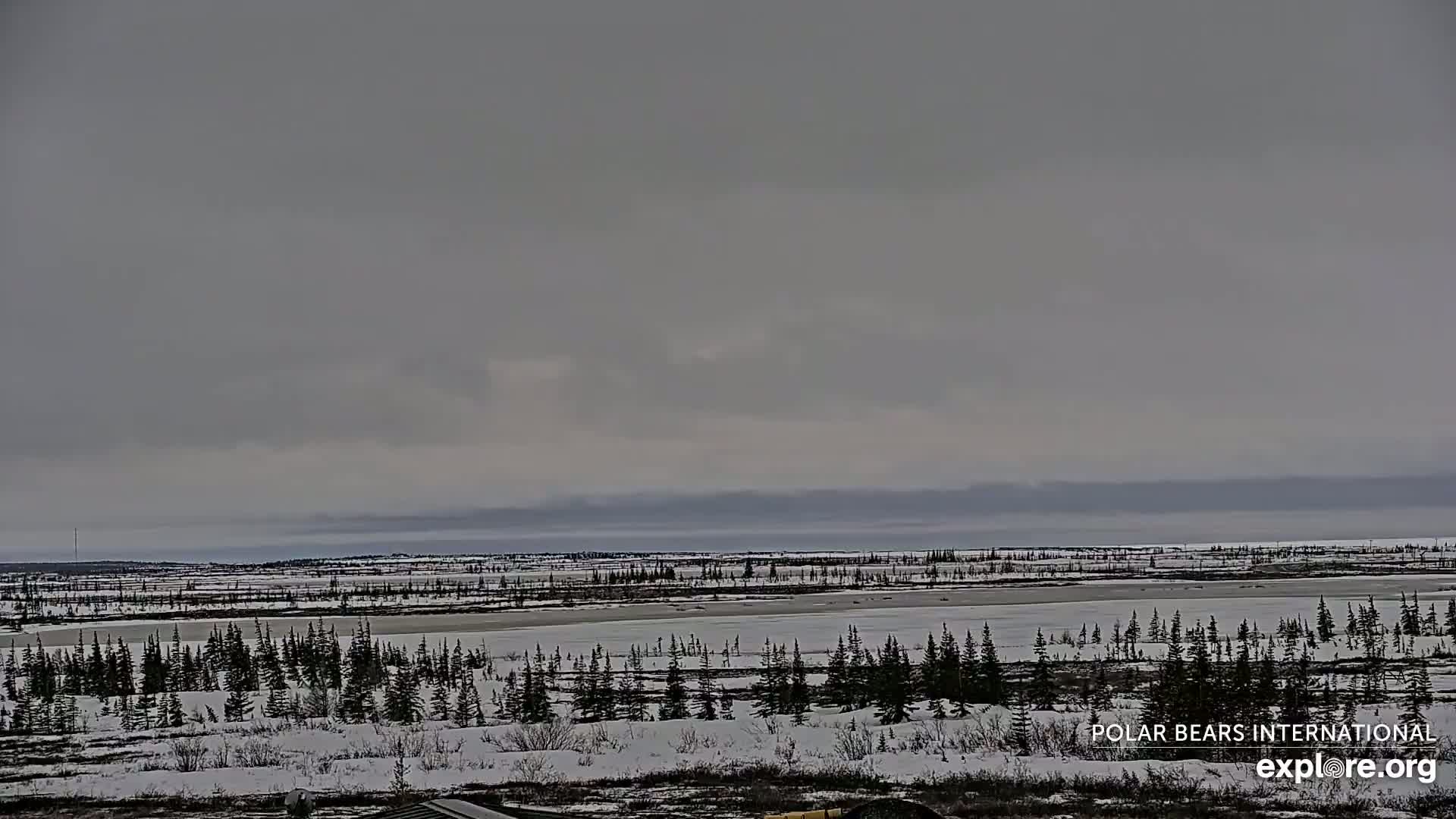 Churchill Marine Observatory, Northern Lights / Aurora Borealis / Stars View Live Cam - Churchill, Division No. 23, Northern Manitoba, Manitoba, Canada 