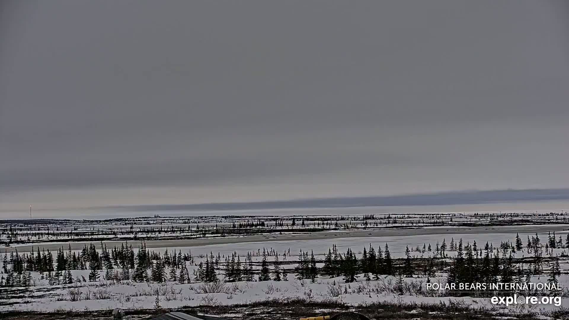Churchill Marine Observatory, Northern Lights / Aurora Borealis / Stars View Live Cam - Churchill, Division No. 23, Northern Manitoba, Manitoba, Canada 