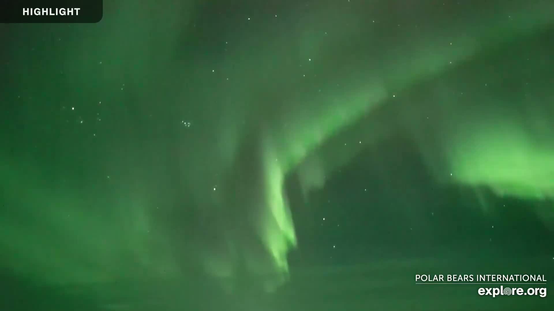 A vibrant green aurora borealis illuminates the night sky.