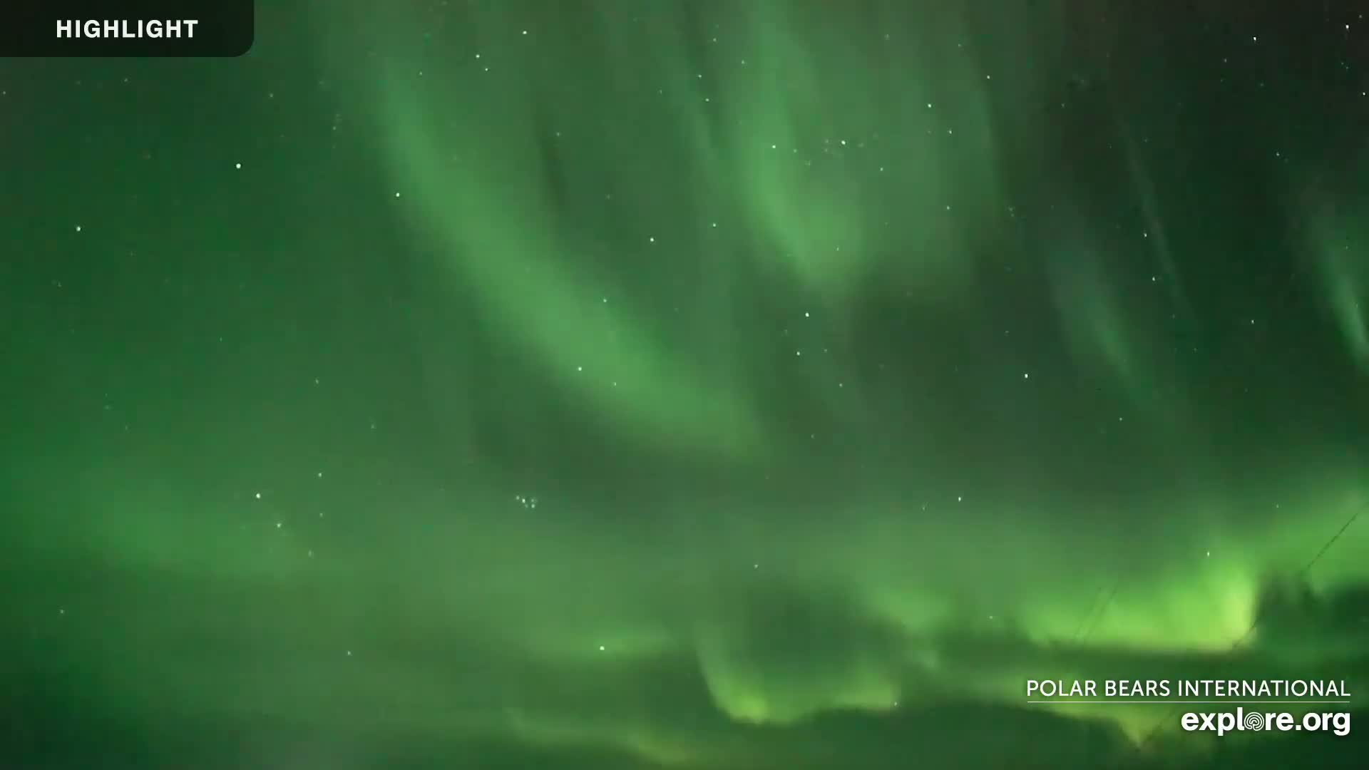 Churchill Marine Observatory, Northern Lights / Aurora Borealis / Stars View Live Cam - Churchill, Division No. 23, Northern Manitoba, Manitoba, Canada 