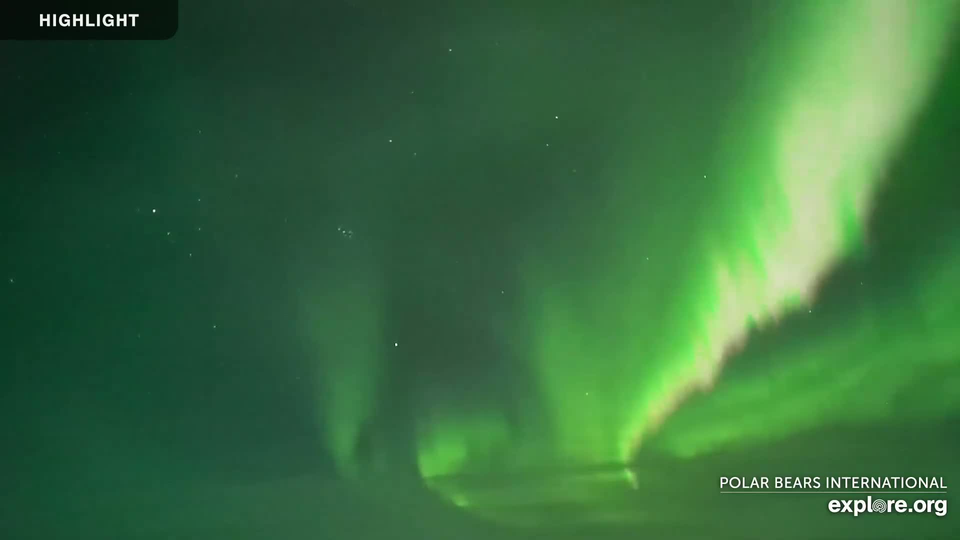 A vibrant green aurora borealis illuminates the night sky.
