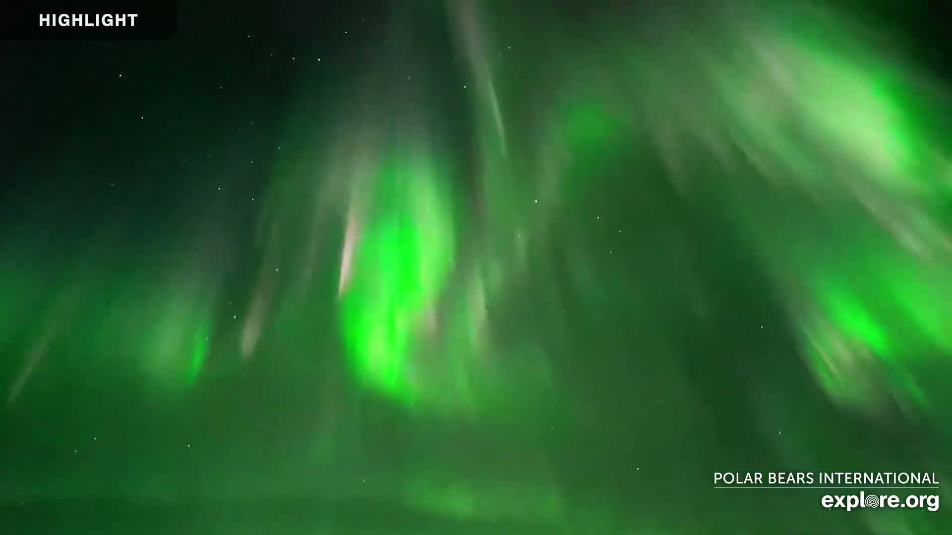 A vibrant green and white aurora borealis displays across a dark night sky.