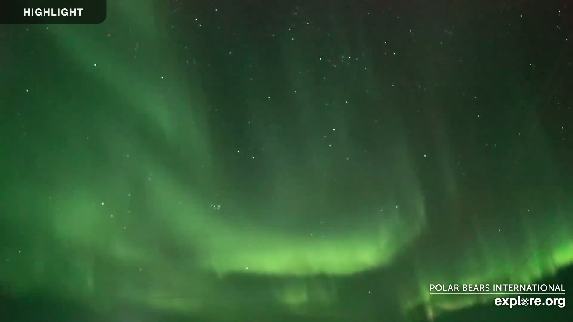 A vibrant green aurora borealis displays across a dark night sky filled with stars.