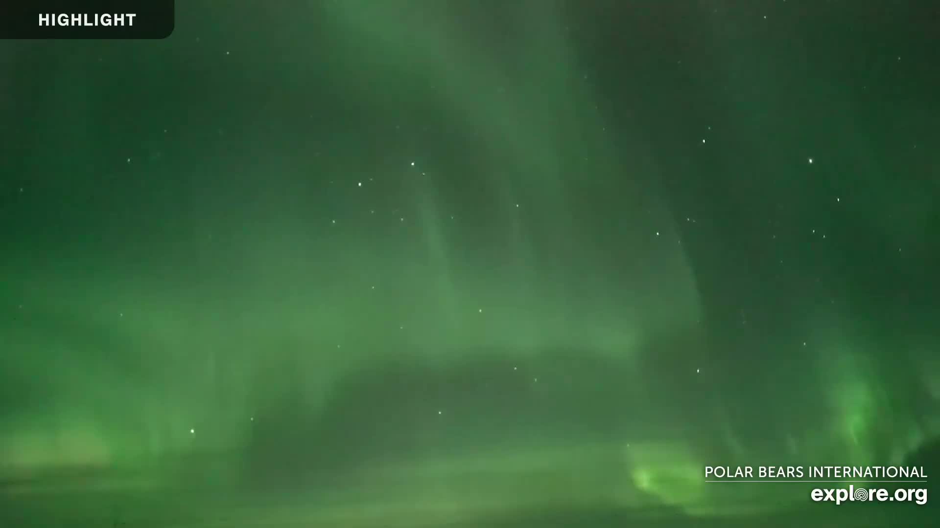 Churchill Marine Observatory, Northern Lights / Aurora Borealis / Stars View Live Cam - Churchill, Division No. 23, Northern Manitoba, Manitoba, Canada 