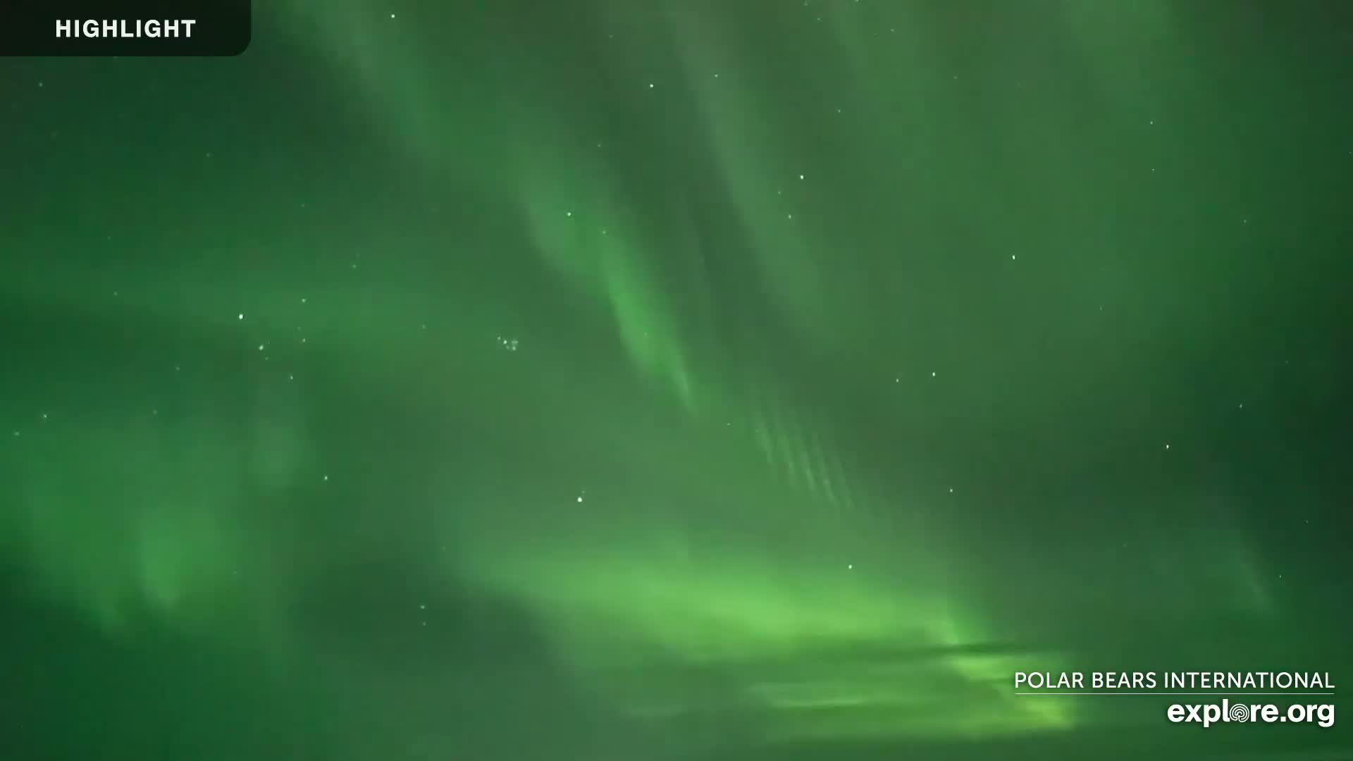 A nighttime scene shows a vibrant green aurora borealis in the sky.