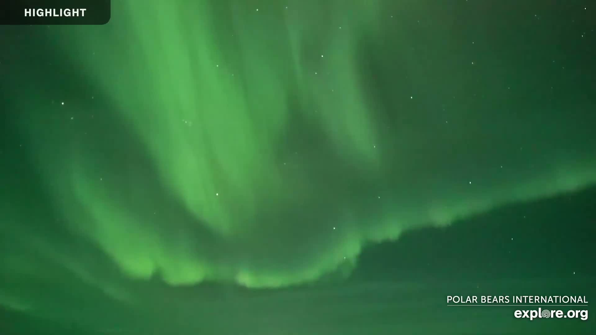 A vibrant green aurora borealis illuminates the night sky.