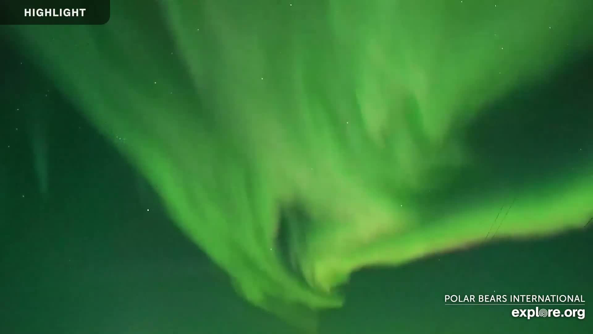 A vibrant green aurora borealis dominates the night sky.