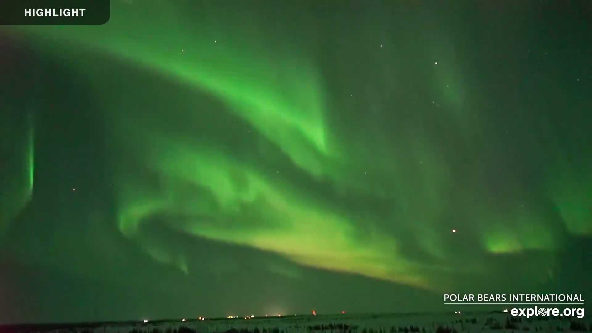 A vibrant green aurora borealis illuminates the night sky above a snow-covered landscape.